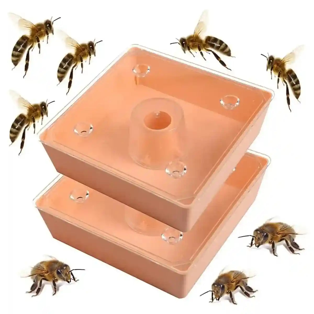 2PCS Square Hive Bee Feeder 1.6L Leakproof Acrylic Design