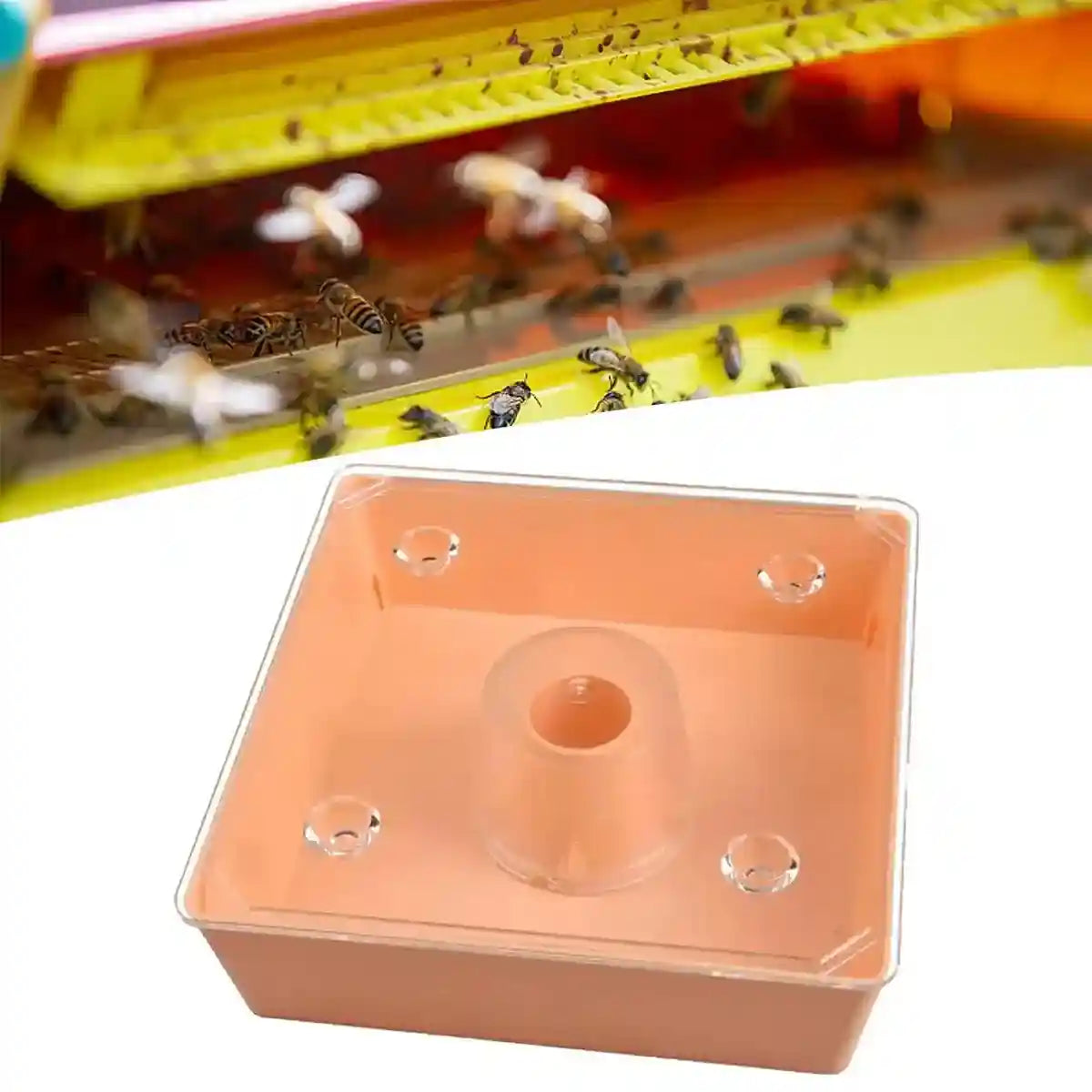 2PCS Square Hive Bee Feeder 1.6L Leakproof Acrylic Design