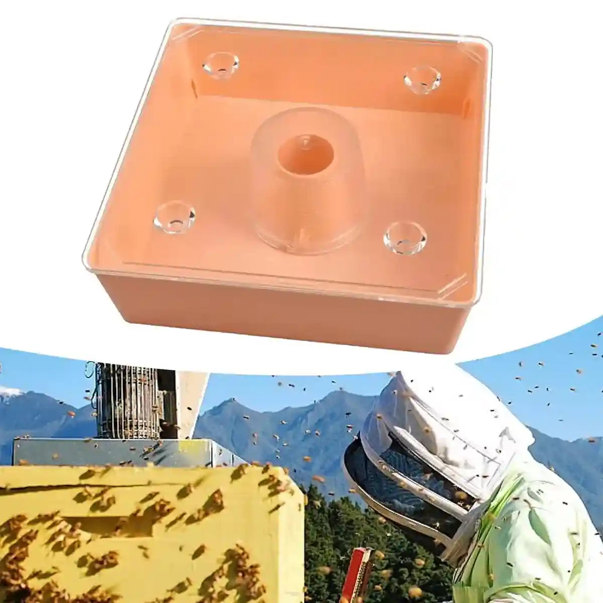 2PCS Square Hive Bee Feeder 1.6L Leakproof Acrylic Design