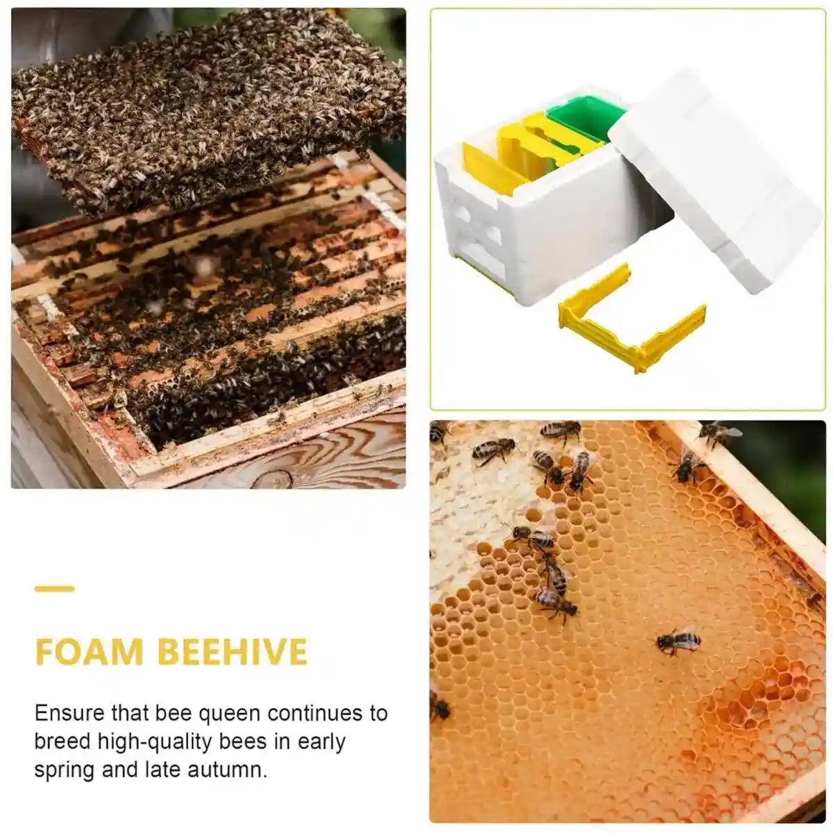 Insulated Foam Bee Boxes for Queen Rearing and Hive Expansion