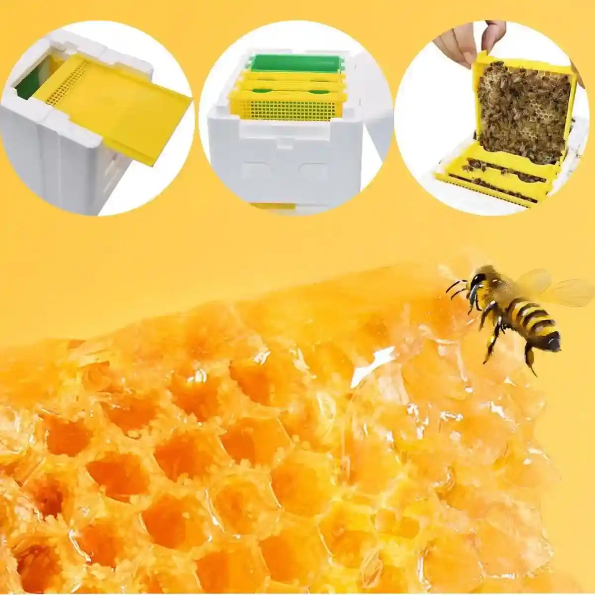 Insulated Foam Bee Boxes for Queen Rearing and Hive Expansion