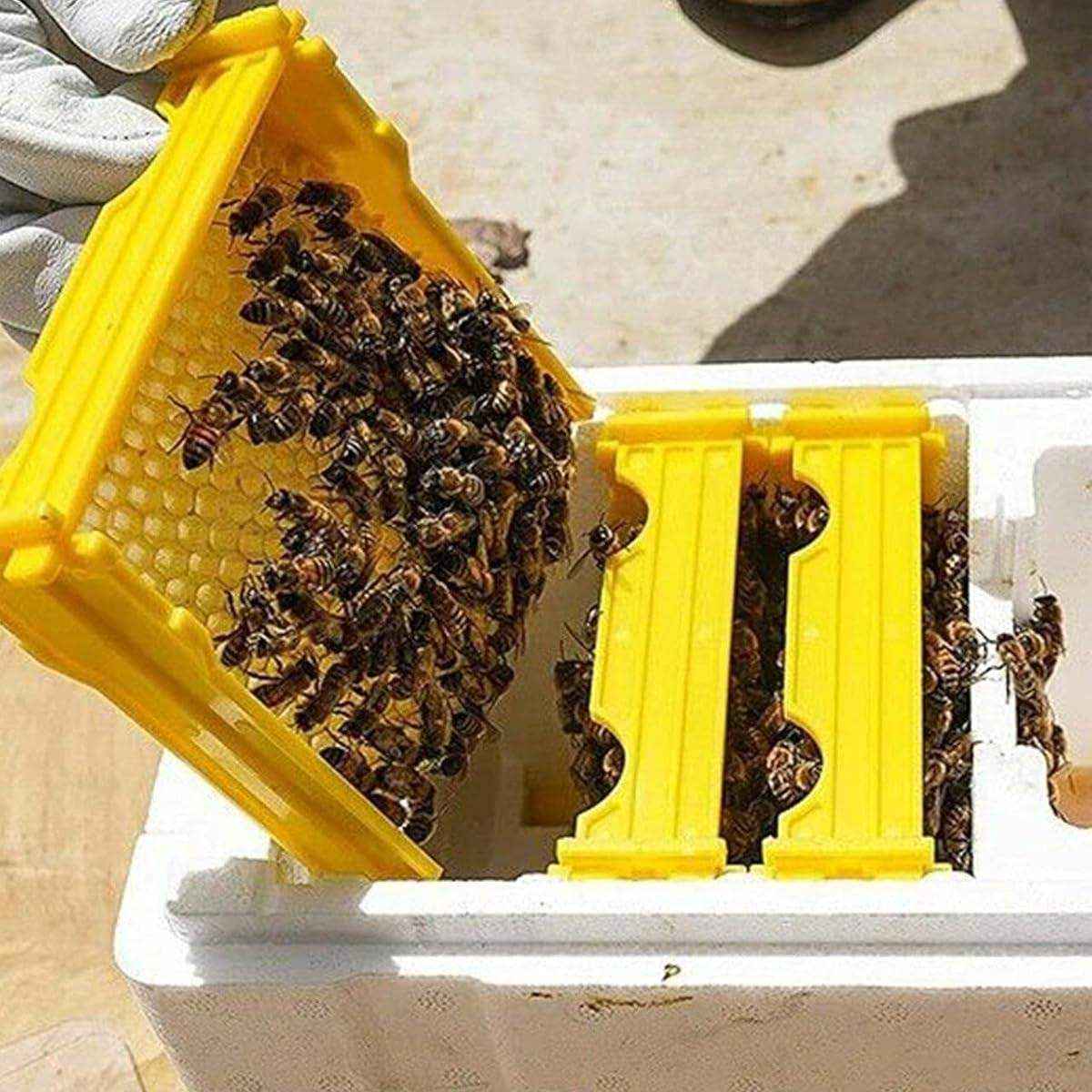 Insulated Foam Bee Boxes for Queen Rearing and Hive Expansion