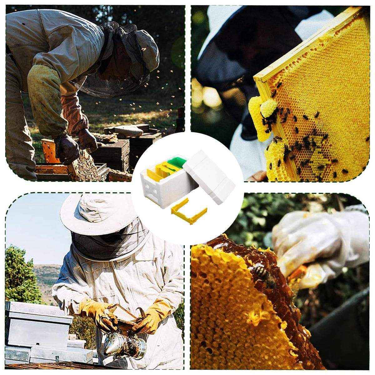 Insulated Foam Bee Boxes for Queen Rearing and Hive Expansion