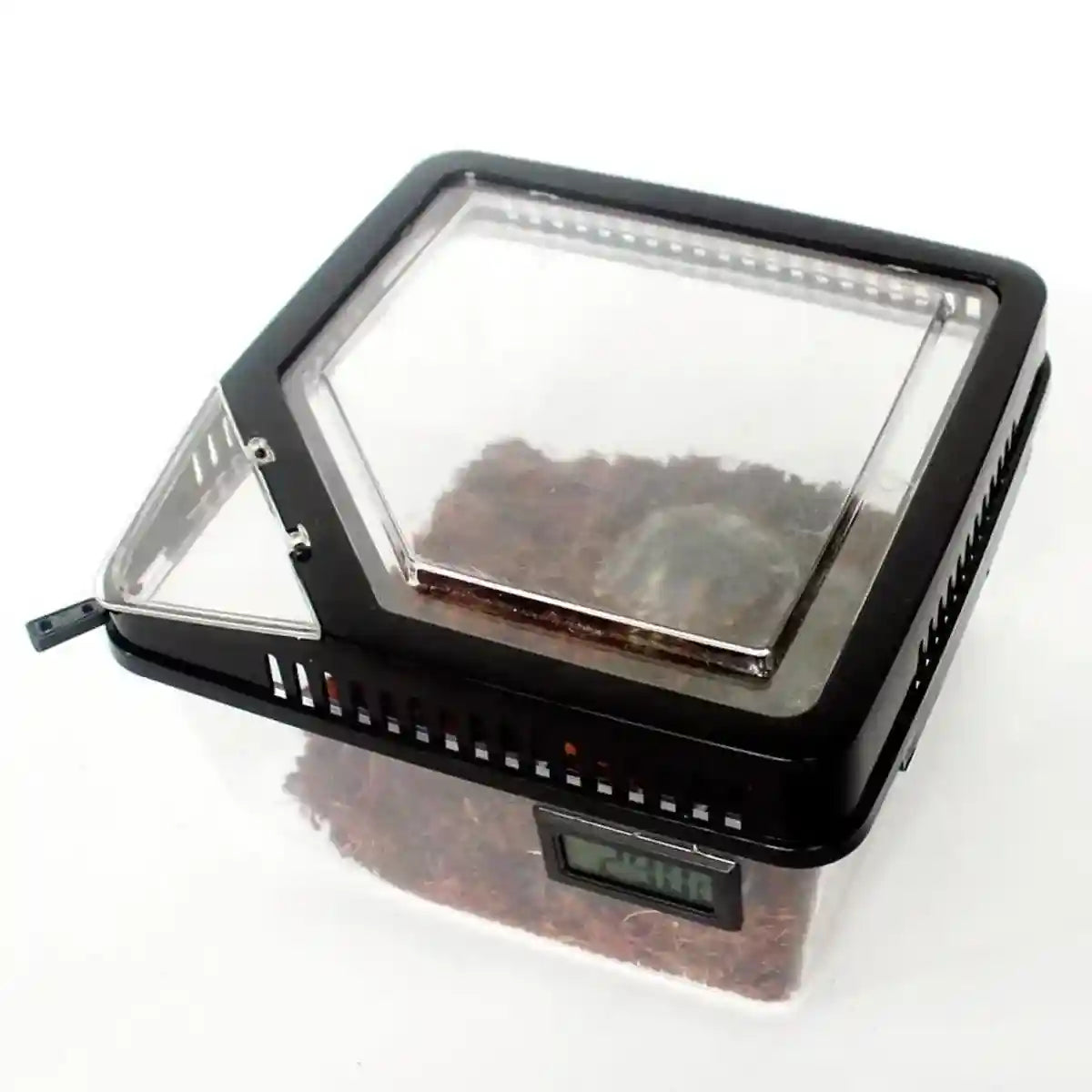 Clear Reptile Feeder Box With Locking Lid & Thermometer Slot