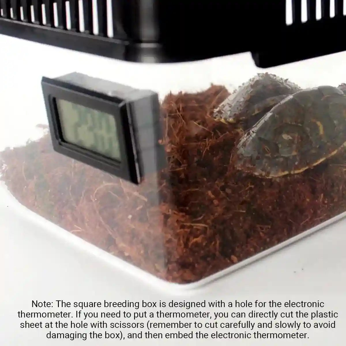 Clear Reptile Feeder Box With Locking Lid & Thermometer Slot