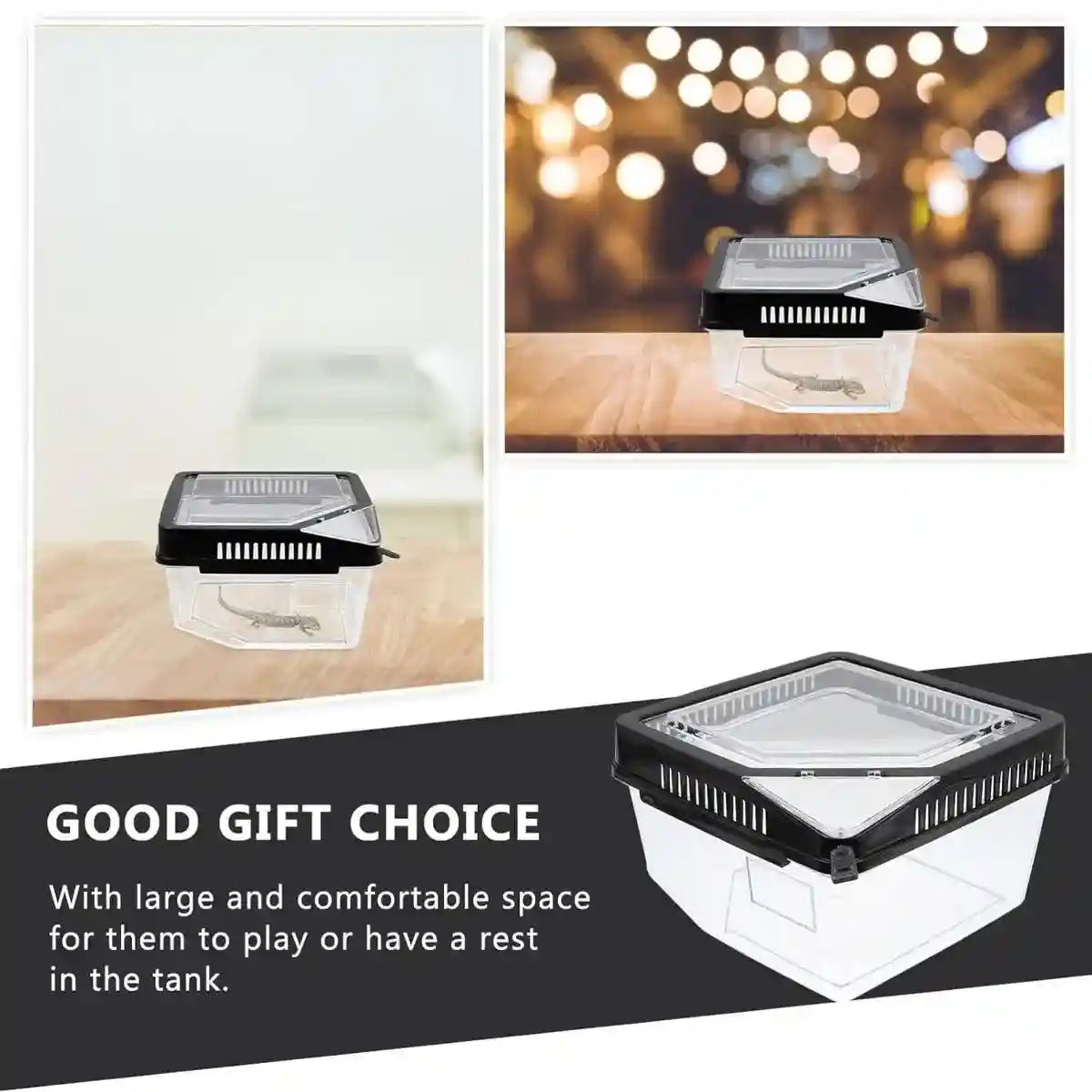 Clear Reptile Feeder Box With Locking Lid & Thermometer Slot