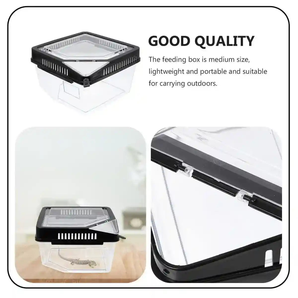 Clear Reptile Feeder Box With Locking Lid & Thermometer Slot