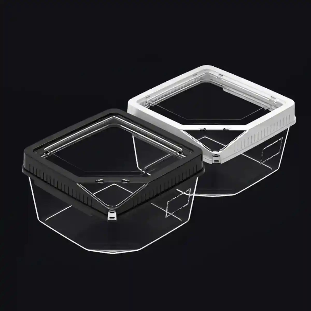 Clear Reptile Feeder Box With Locking Lid & Thermometer Slot