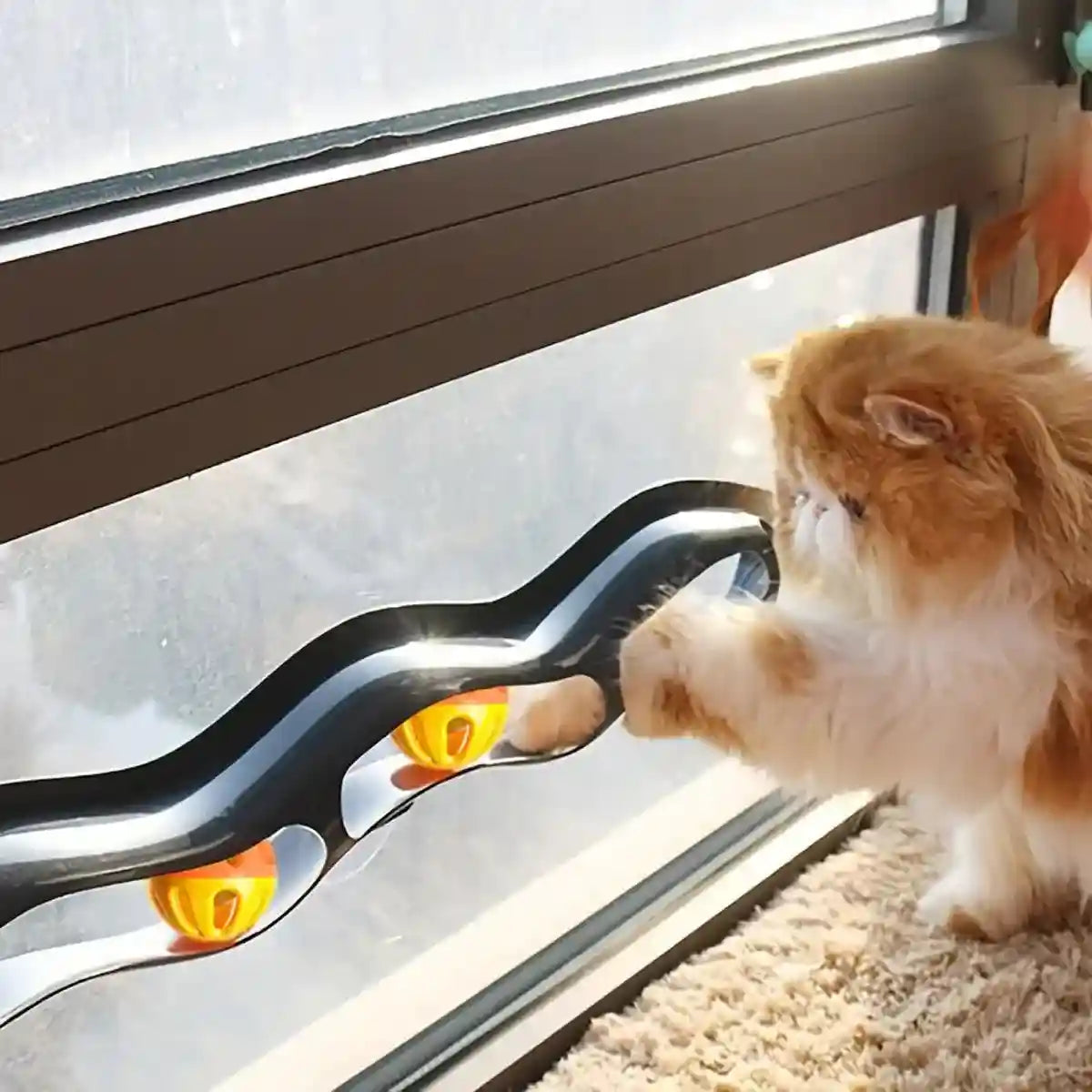 Bell Track Cat Toy with Rolling Ball and Bell Interactive Pet Toy