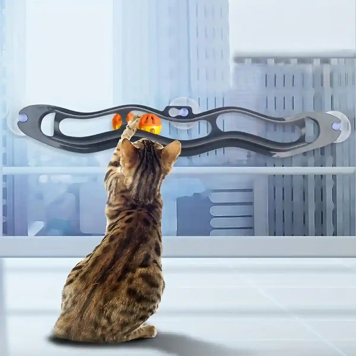 Bell Track Cat Toy with Rolling Ball and Bell Interactive Pet Toy