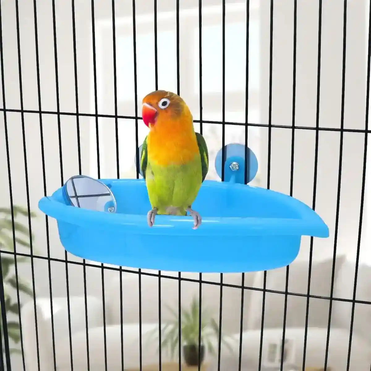 Space-Saving Cage Feeder with Hanging Bird Bath and Mirror
