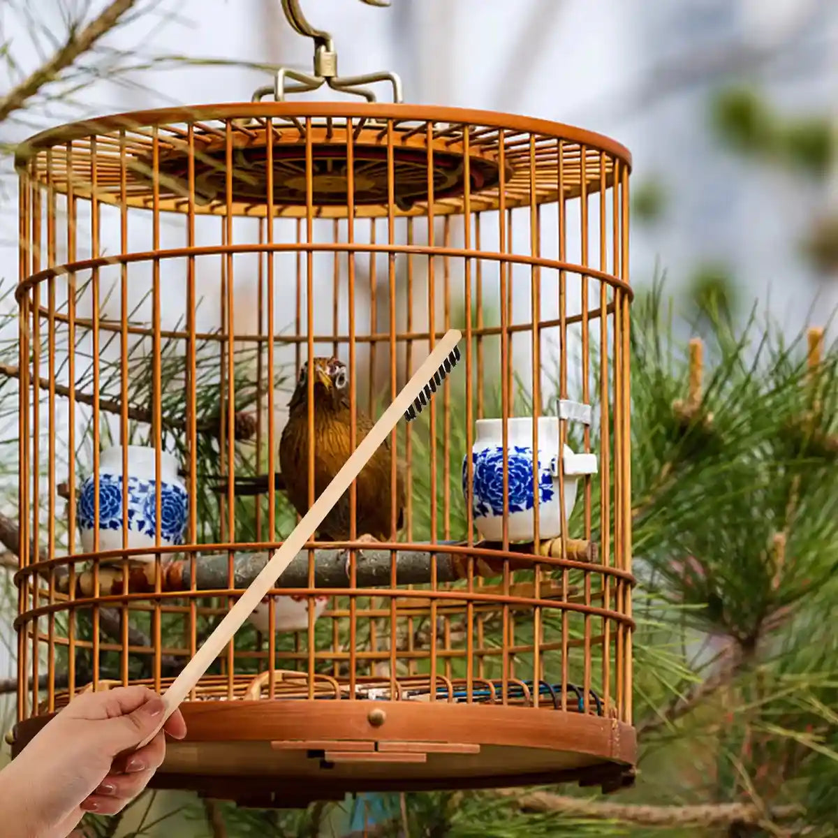 Bird Cage Cleaning Brush Set Stainless Steel & Bamboo Wire Brush Tools
