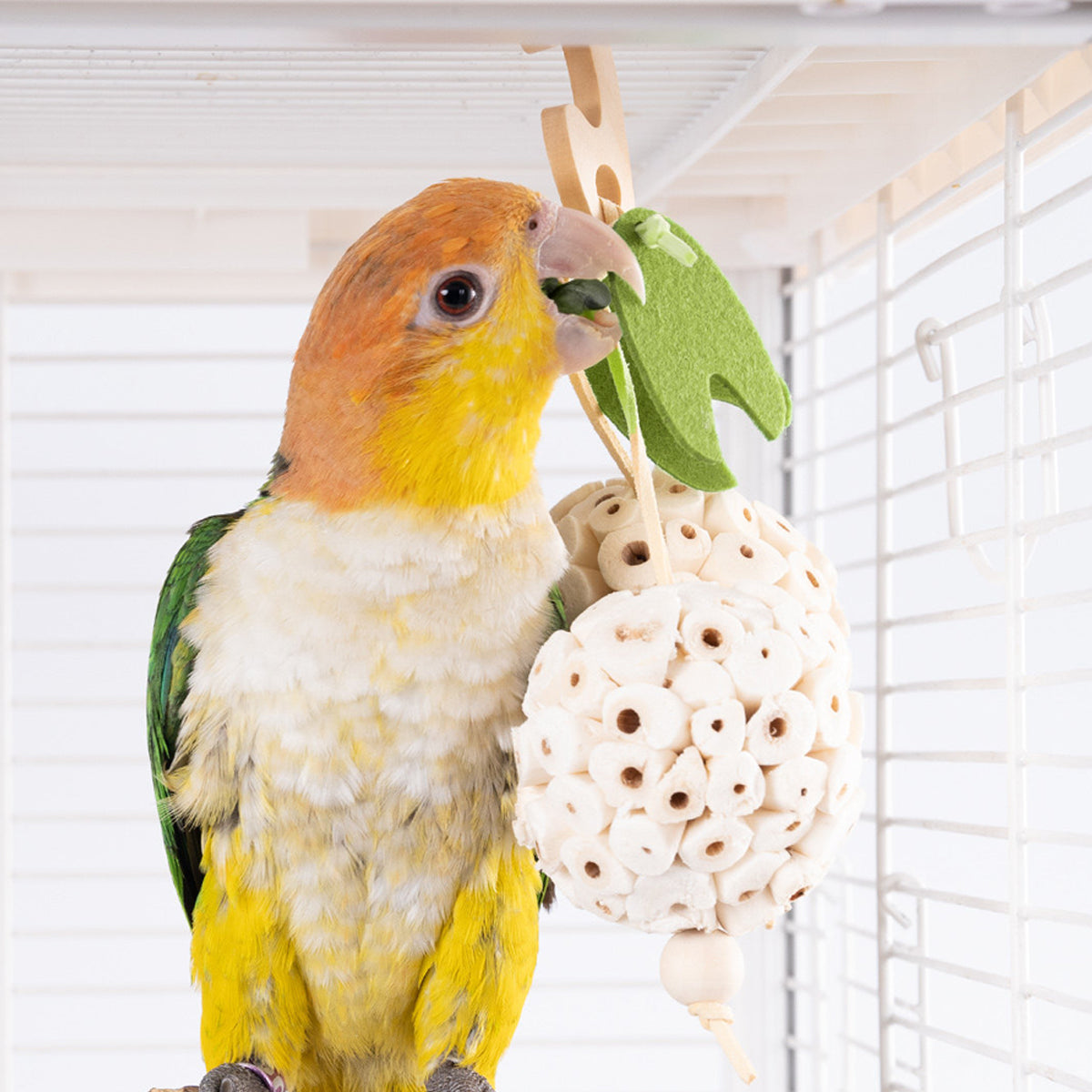 Natural Chewing Ball Bird Toy