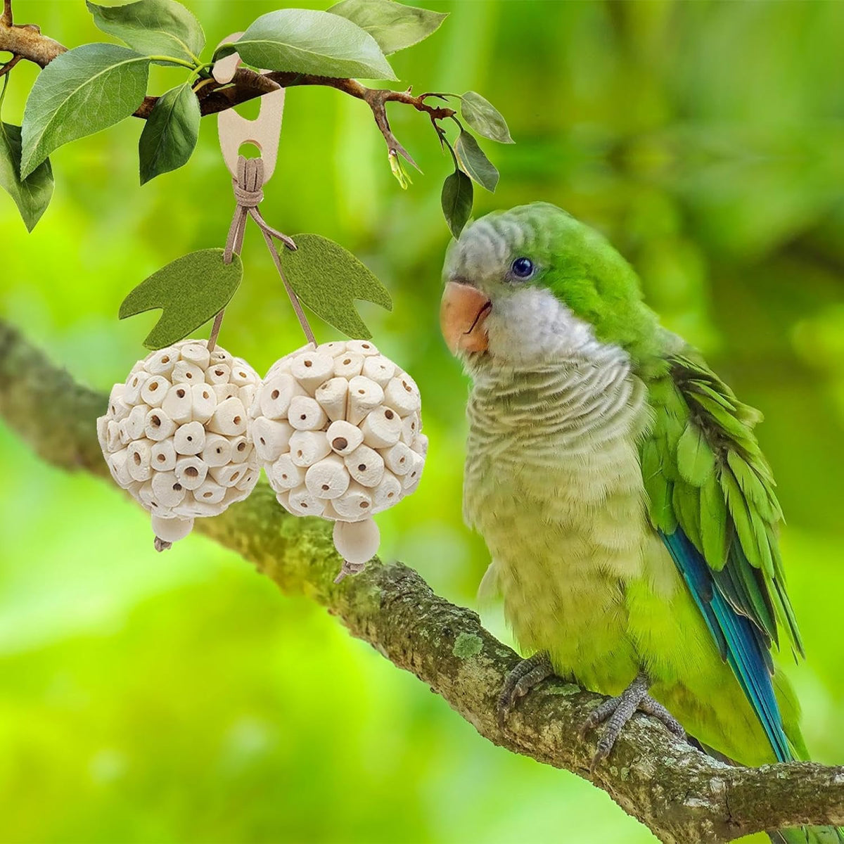 Natural Chewing Ball Bird Toy