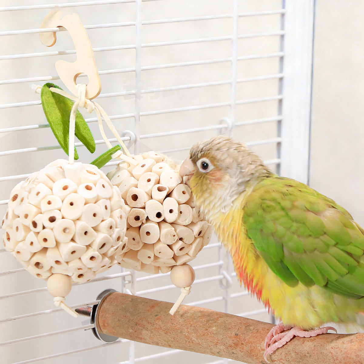 Natural Chewing Ball Bird Toy