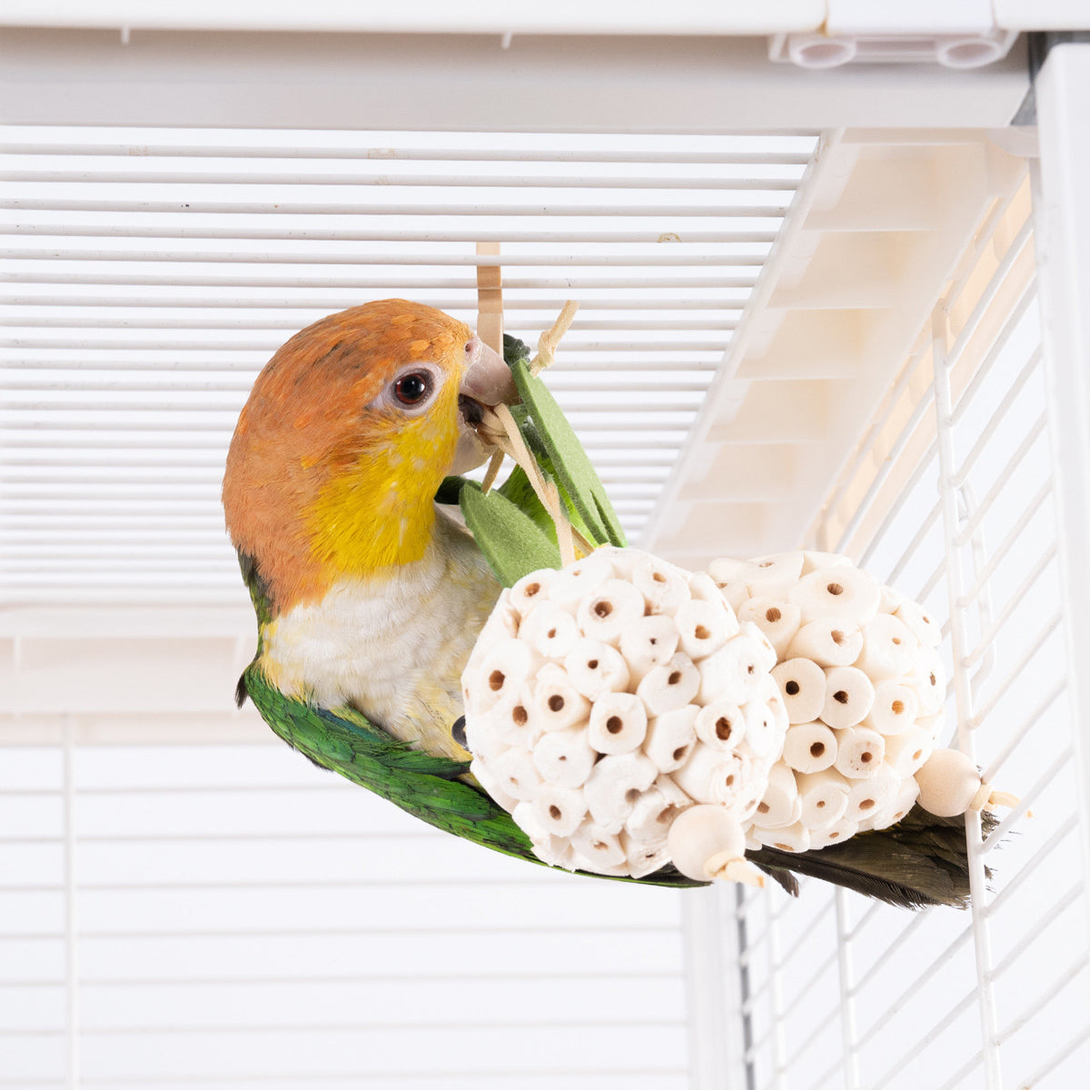 Natural Chewing Ball Bird Toy