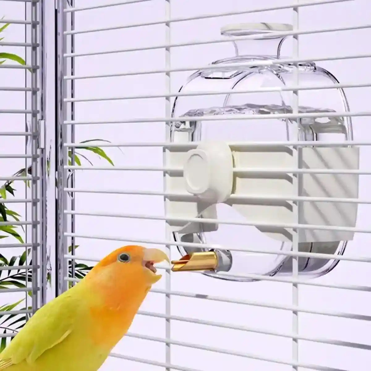 450ml Parrot Water Bottle Bird Drinker Feeder Large Capacity for Birds and Pet