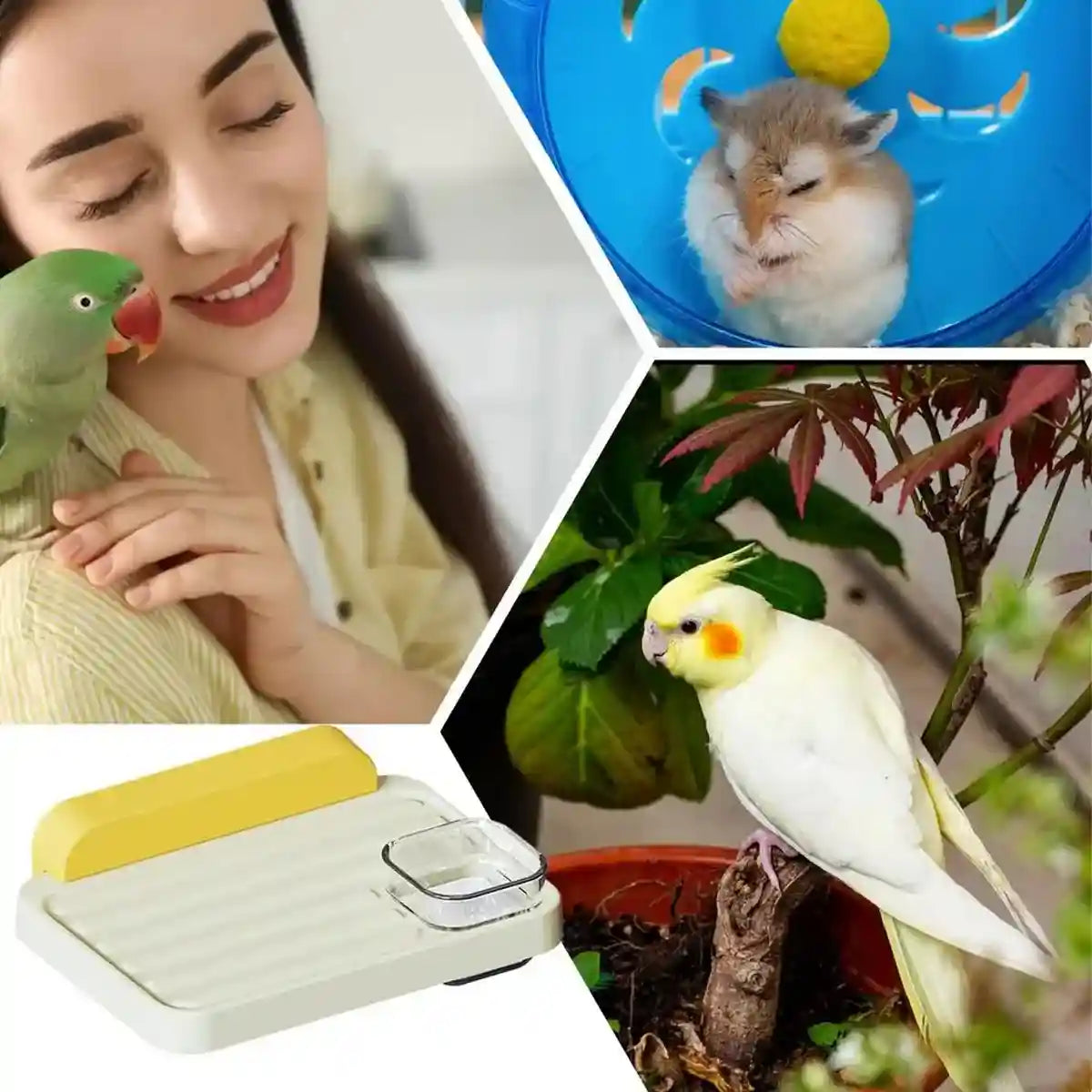 Multi-Functional Parrot Station Pole with Food Box and Swing