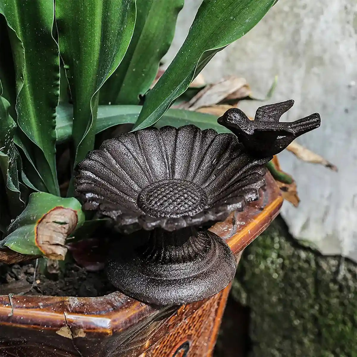 Cast Iron Petal Bird Feeder Bowl for Garden Décor