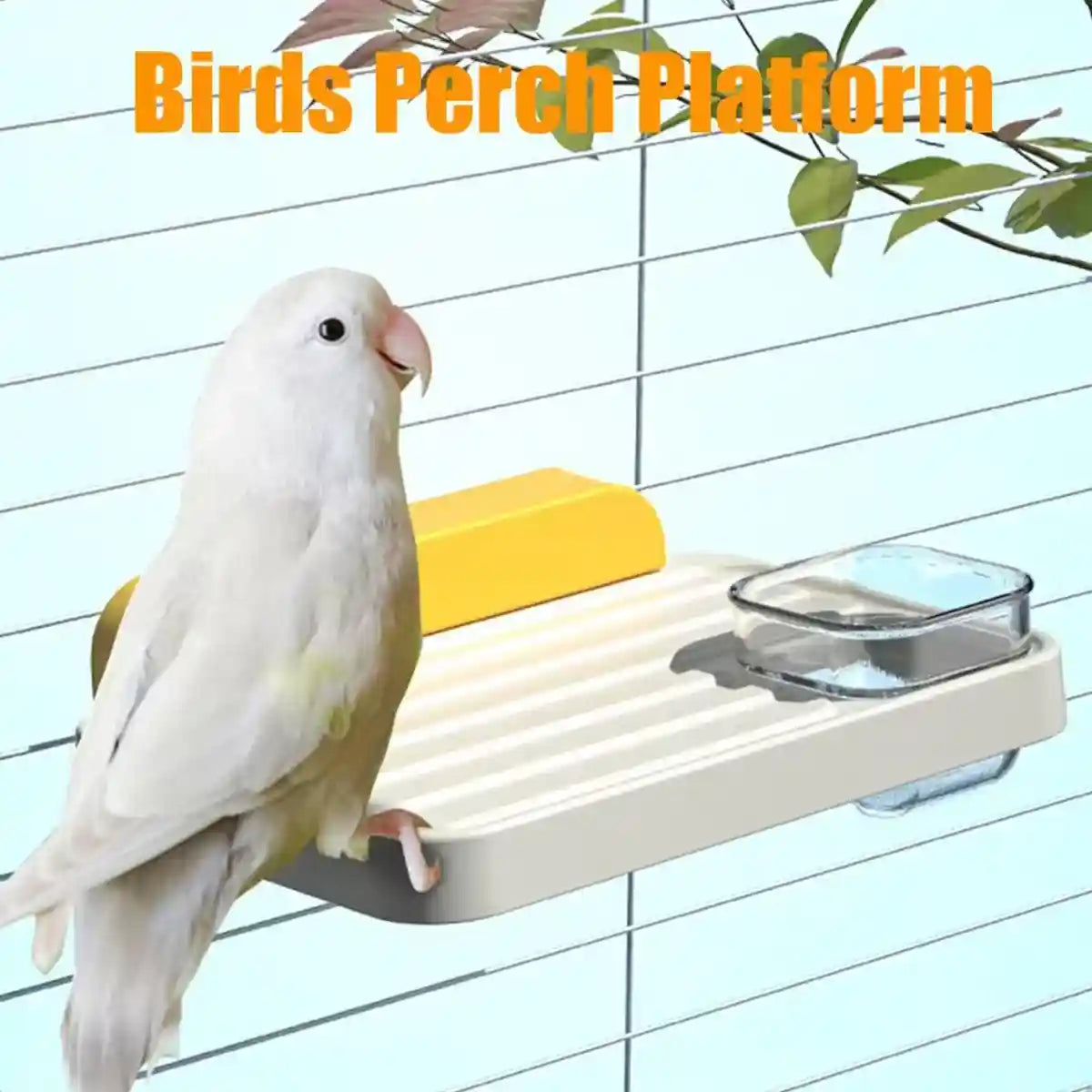Multi-Functional Parrot Station Pole with Food Box and Swing