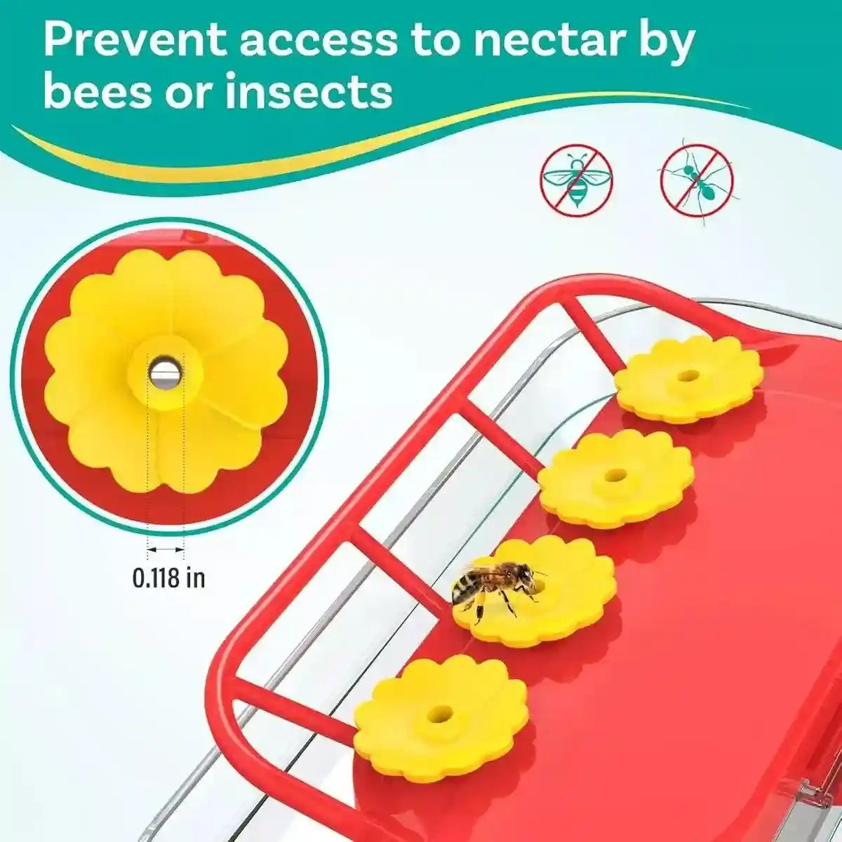 Window Hummingbird Feeder 10oz Capacity with Suction Cup and Ant Moat