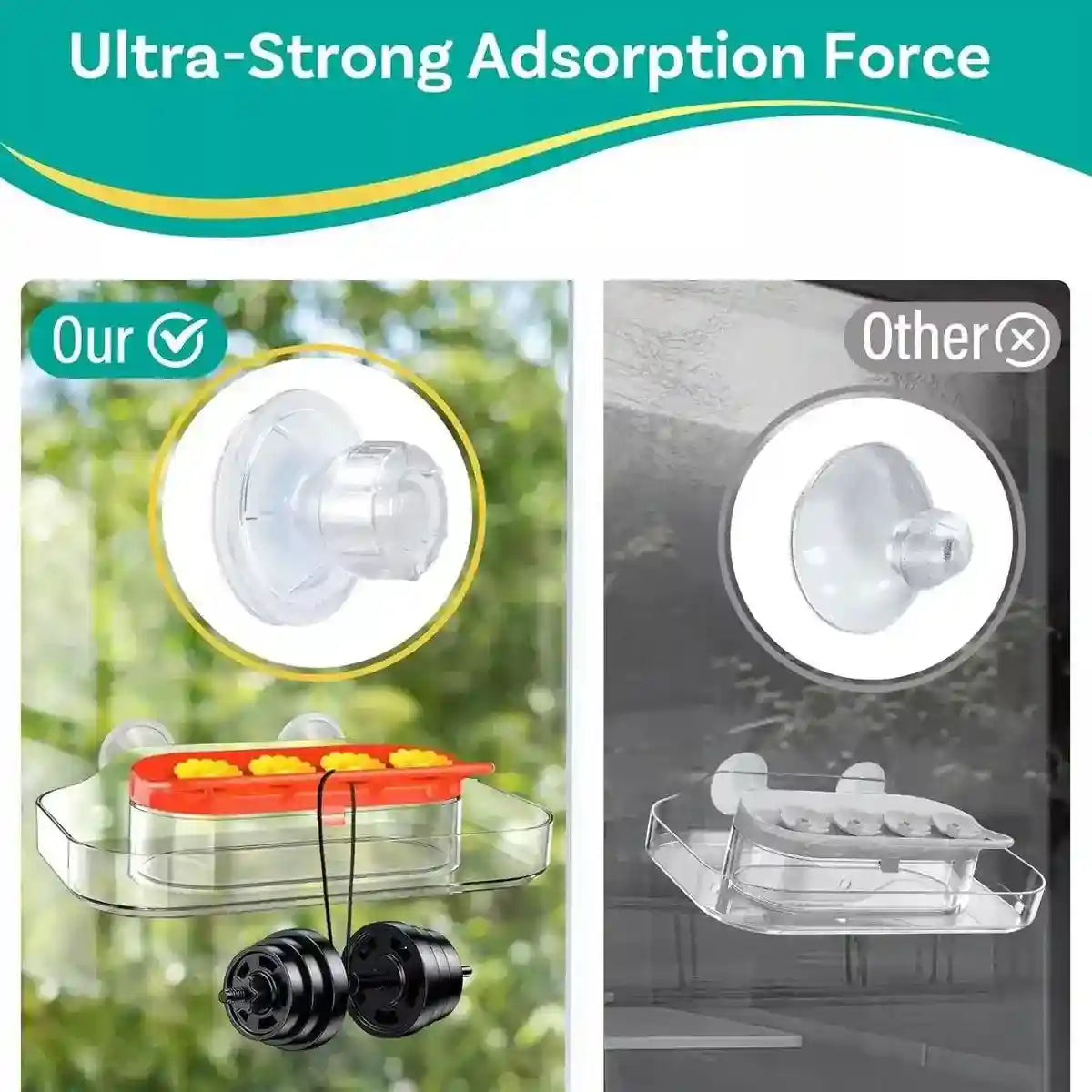 Window Hummingbird Feeder 10oz Capacity with Suction Cup and Ant Moat