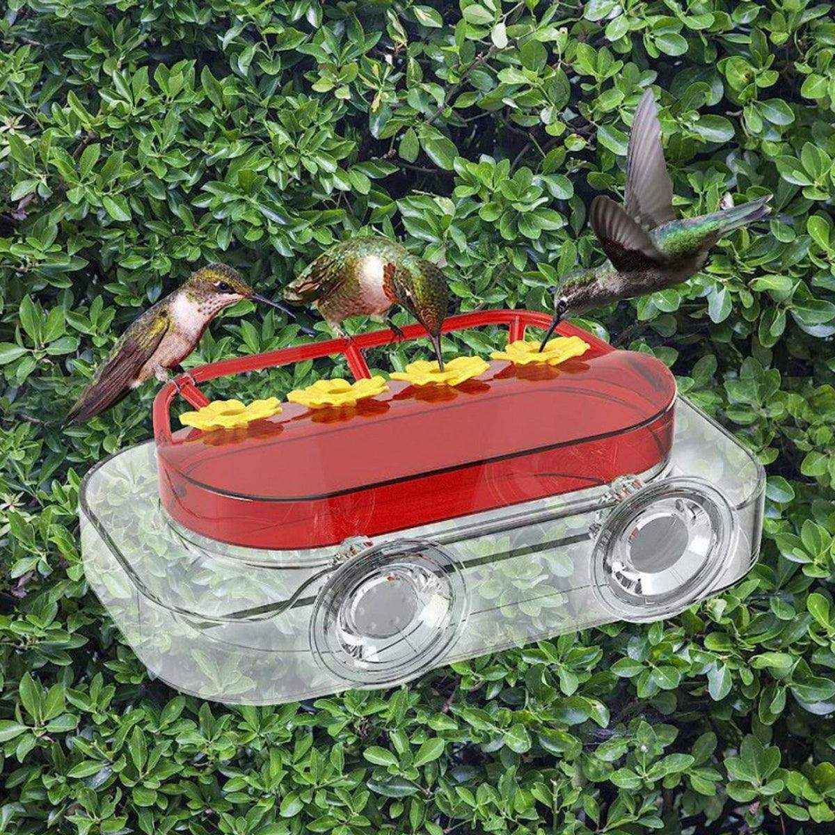 Window Hummingbird Feeder 10oz Capacity with Suction Cup and Ant Moat