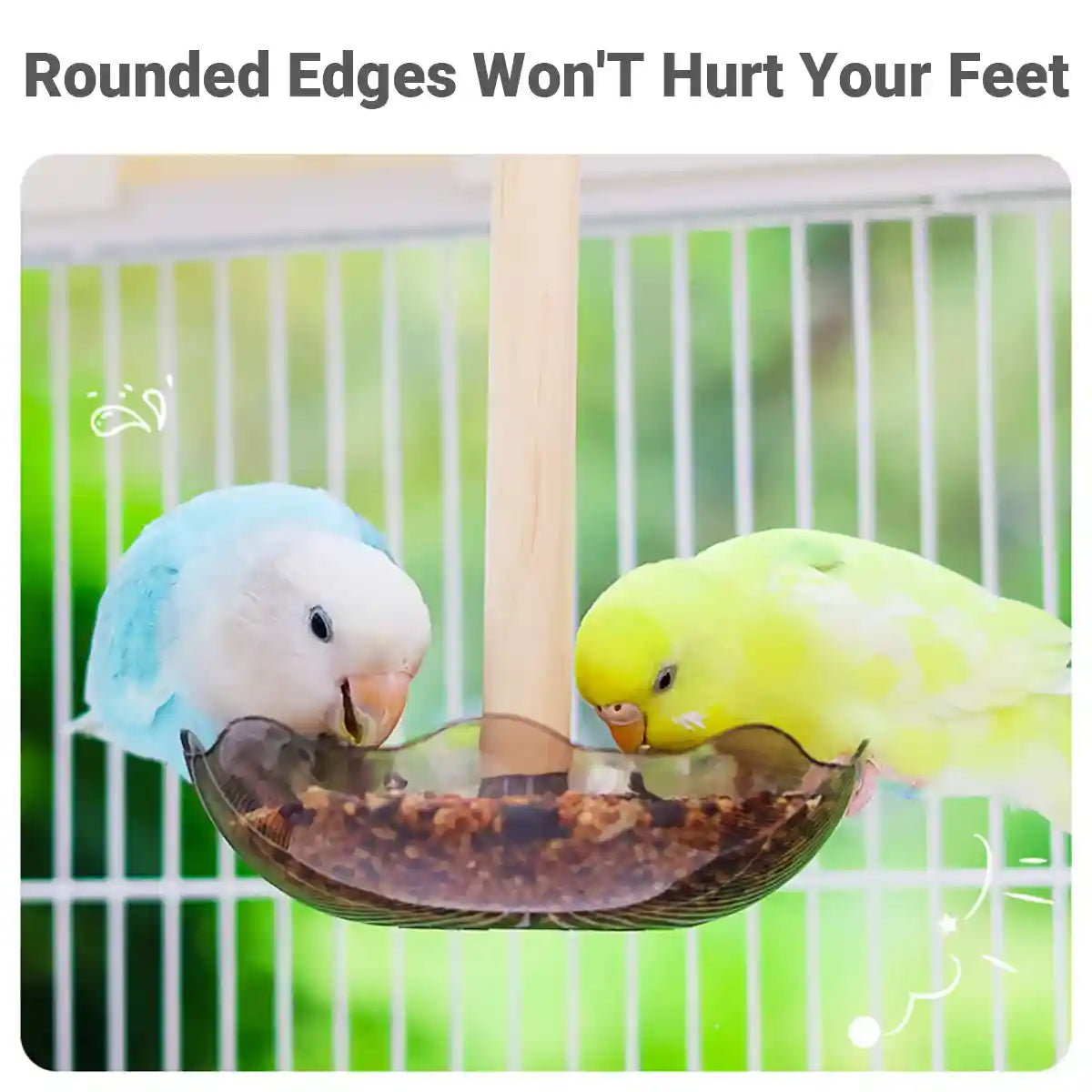 Transparent Bird Feeding Bowl with Perch for Parrots and Lovebirds
