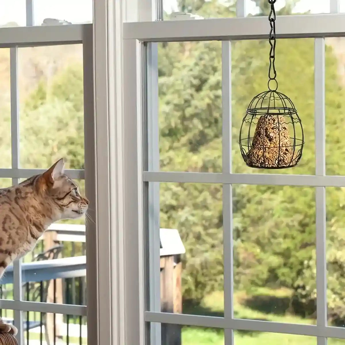 Spring-Style Hanging Bird Feeder for Outdoor Garden or Balcony