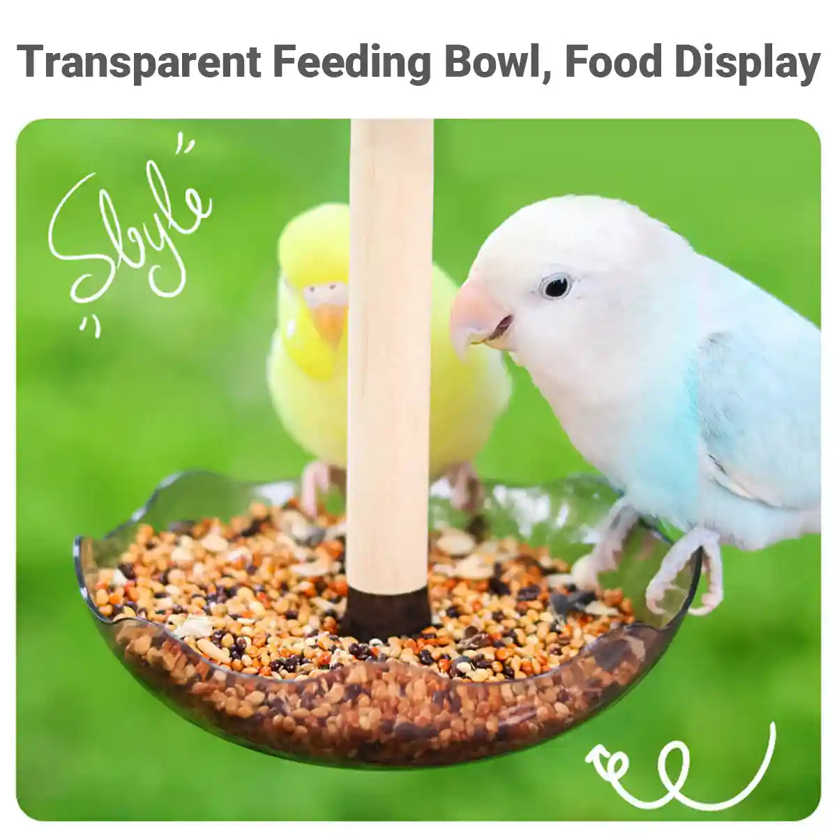Transparent Bird Feeding Bowl with Perch for Parrots and Lovebirds