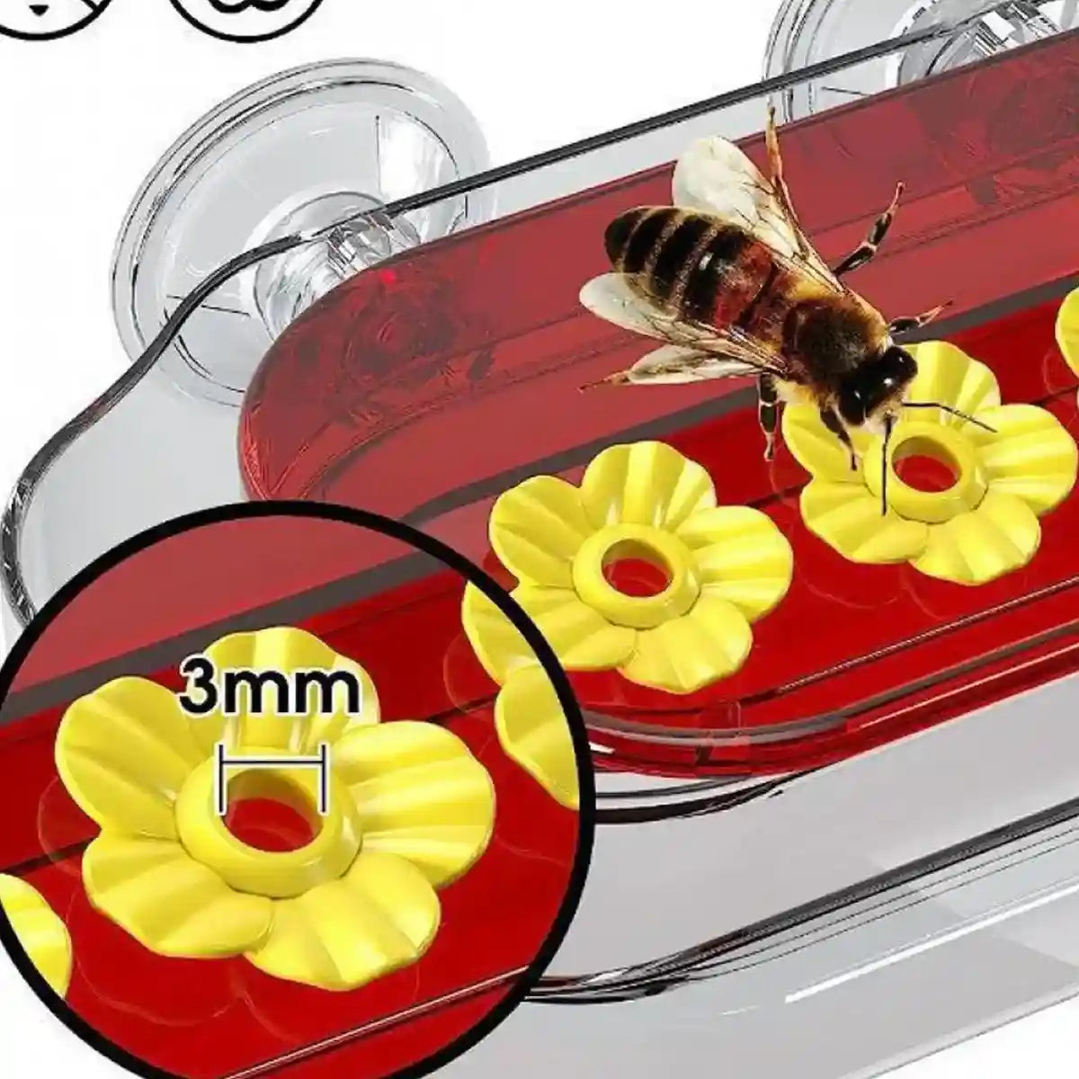 Window Hummingbird Feeder 10oz Capacity with Suction Cup and Ant Moat