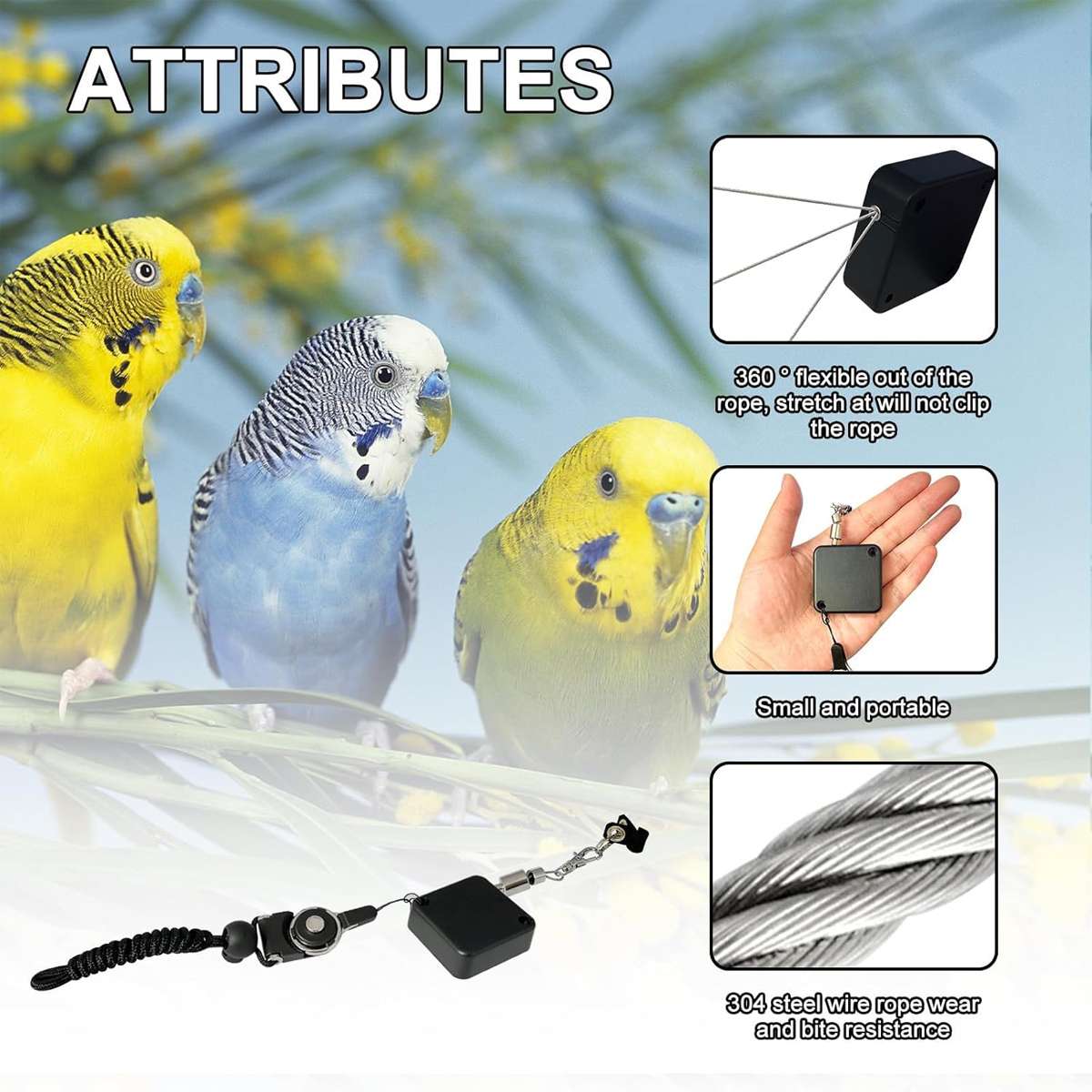 Parrot Foot Leash - Retractable Bird Flight Training Set