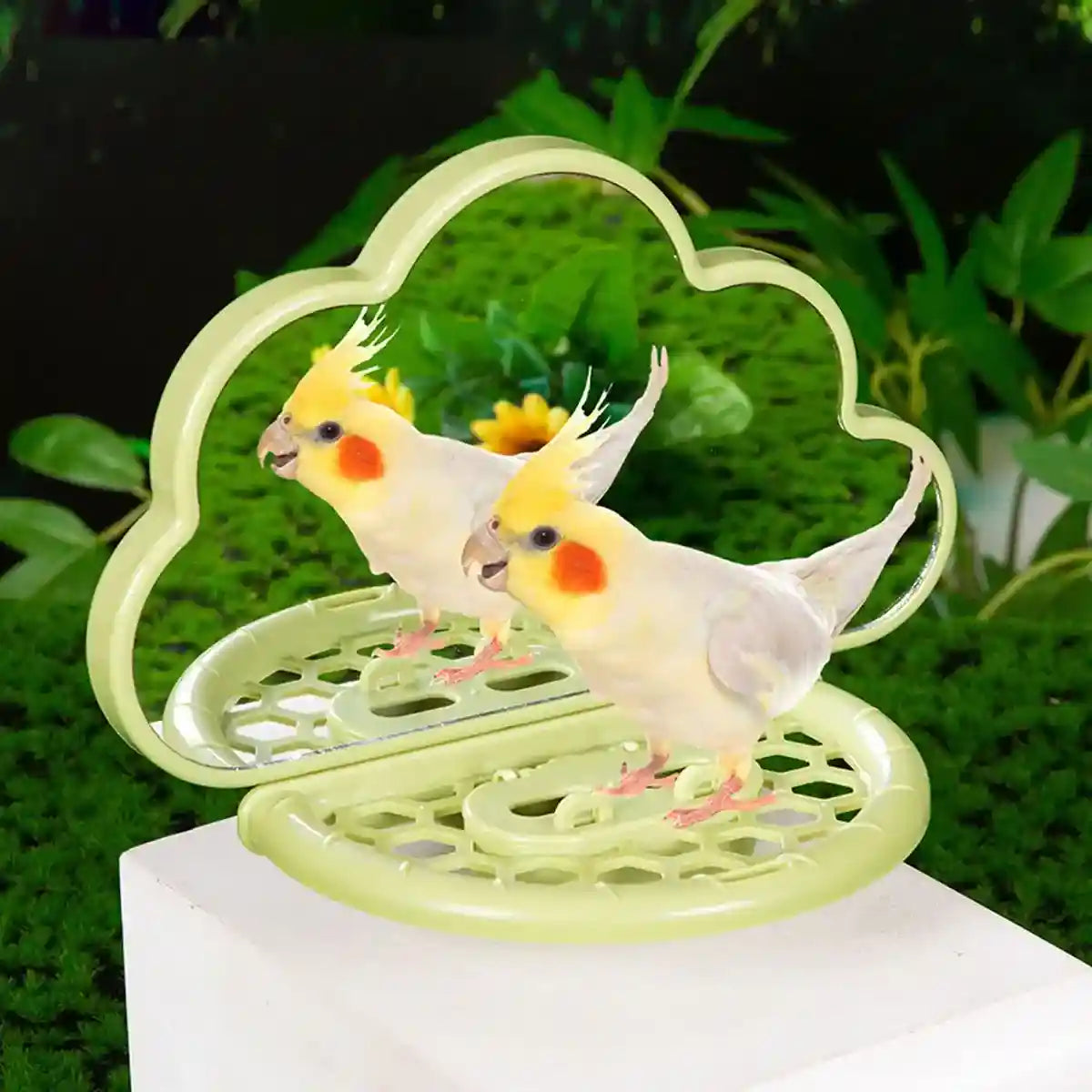 Cloud-Shaped Bird Mirror with Perch & Hidden Feeder
