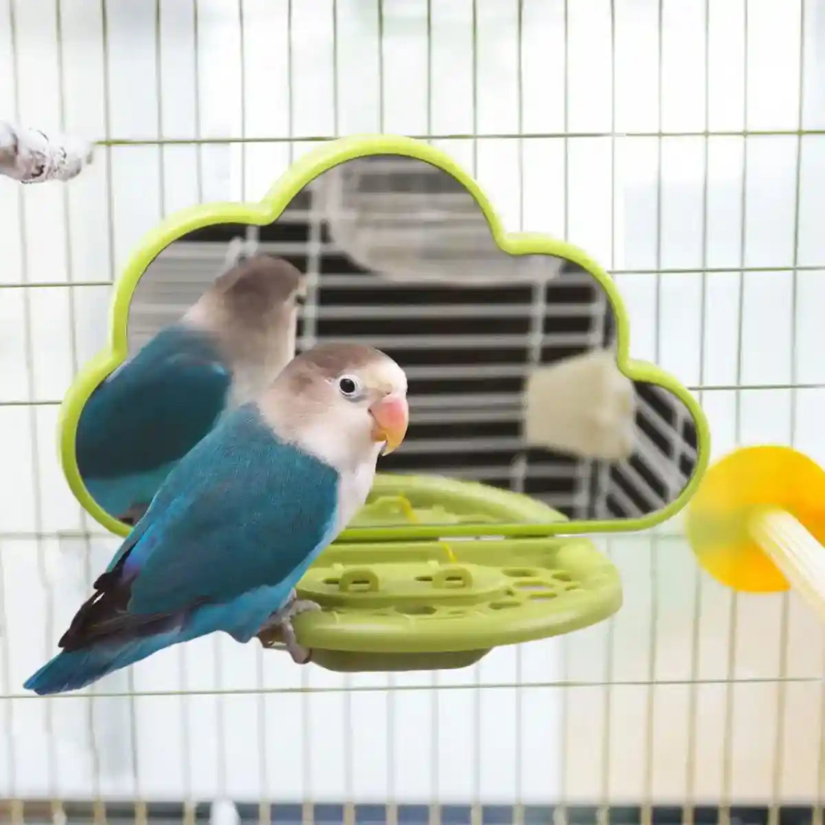 Cloud-Shaped Bird Mirror with Perch & Hidden Feeder