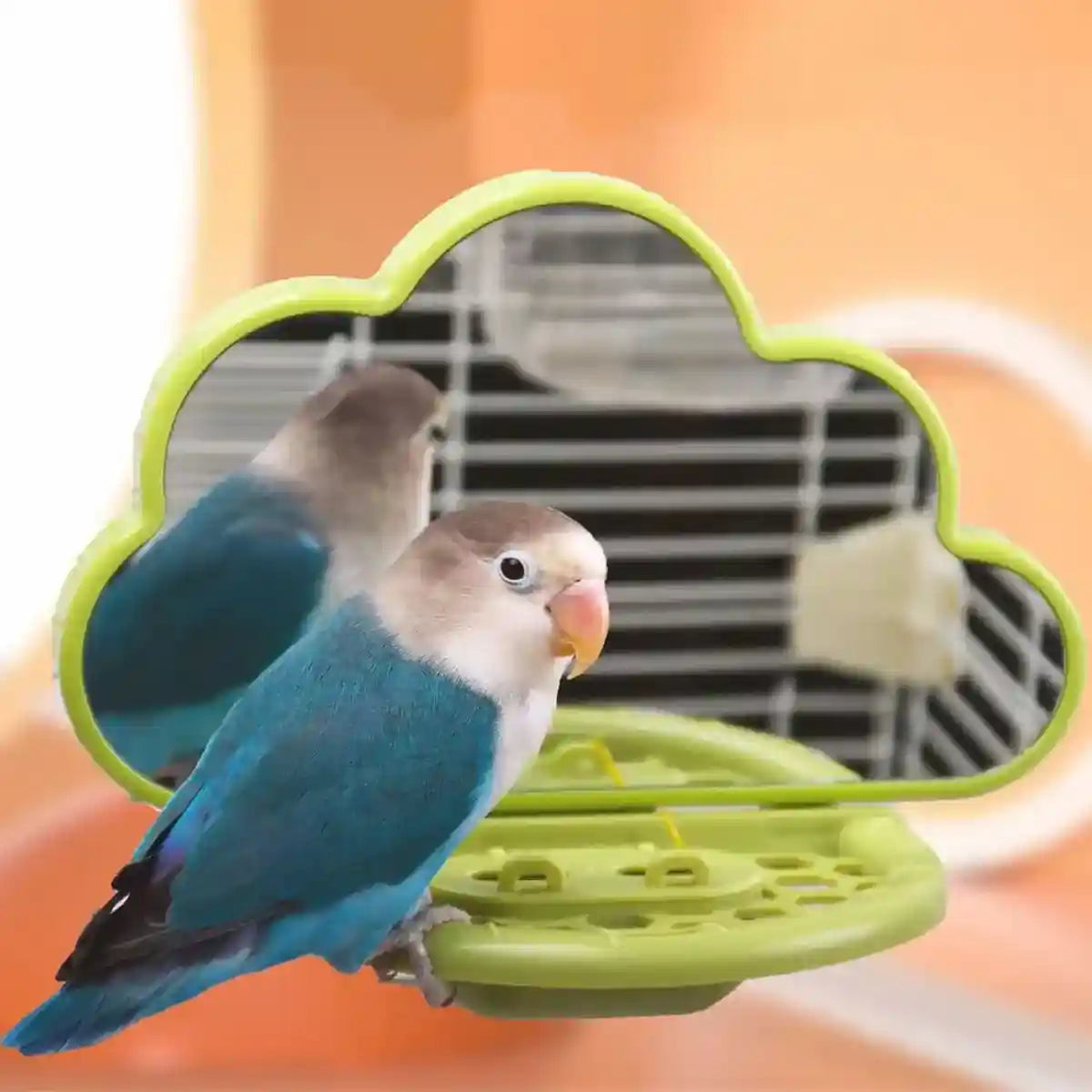 Cloud-Shaped Bird Mirror with Perch & Hidden Feeder