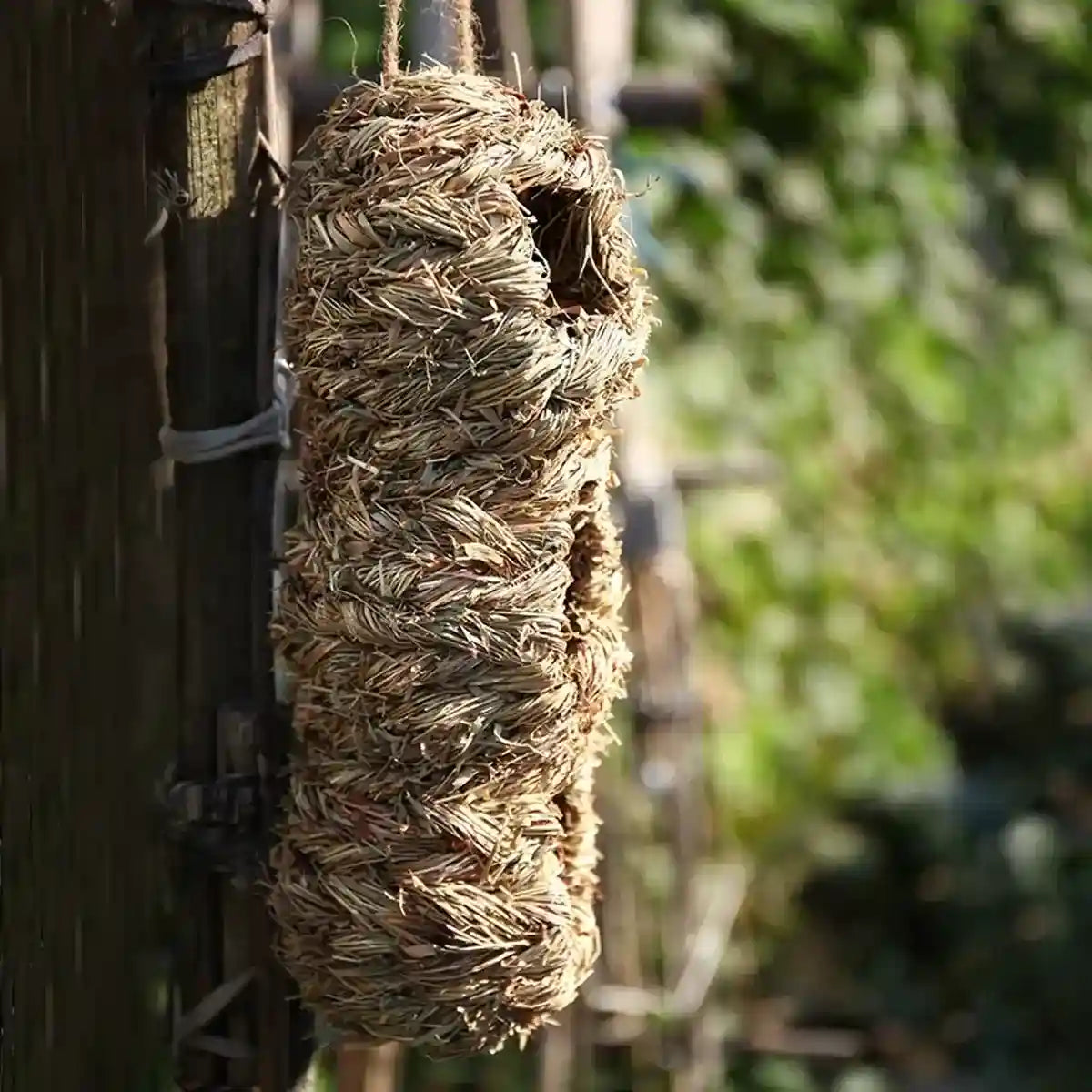 Natural Woven Hanging Bird Nest Peanut Style Bird House for Garden
