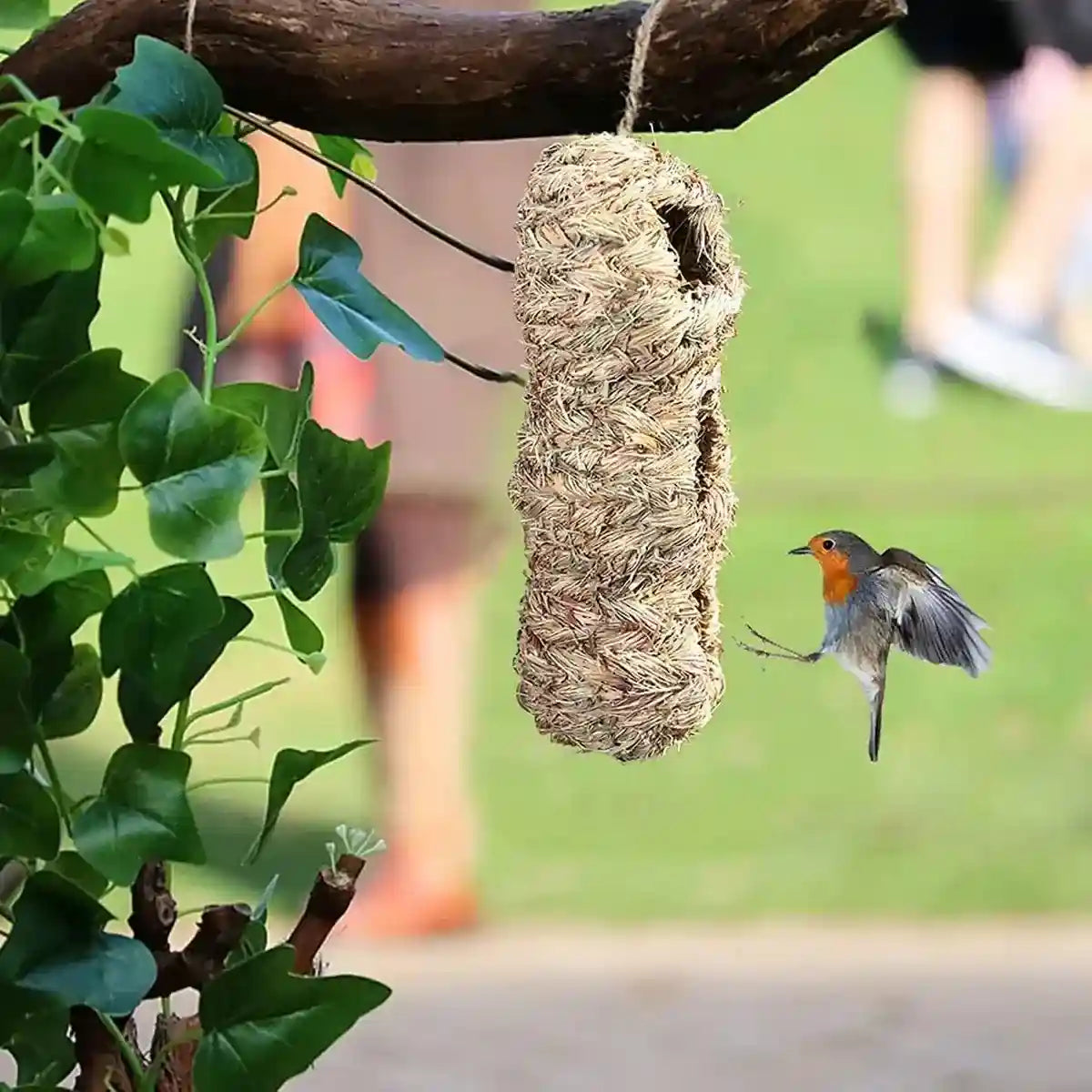 Natural Woven Hanging Bird Nest Peanut Style Bird House for Garden