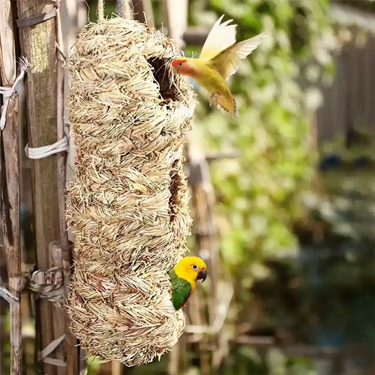 Natural Woven Hanging Bird Nest Peanut Style Bird House for Garden