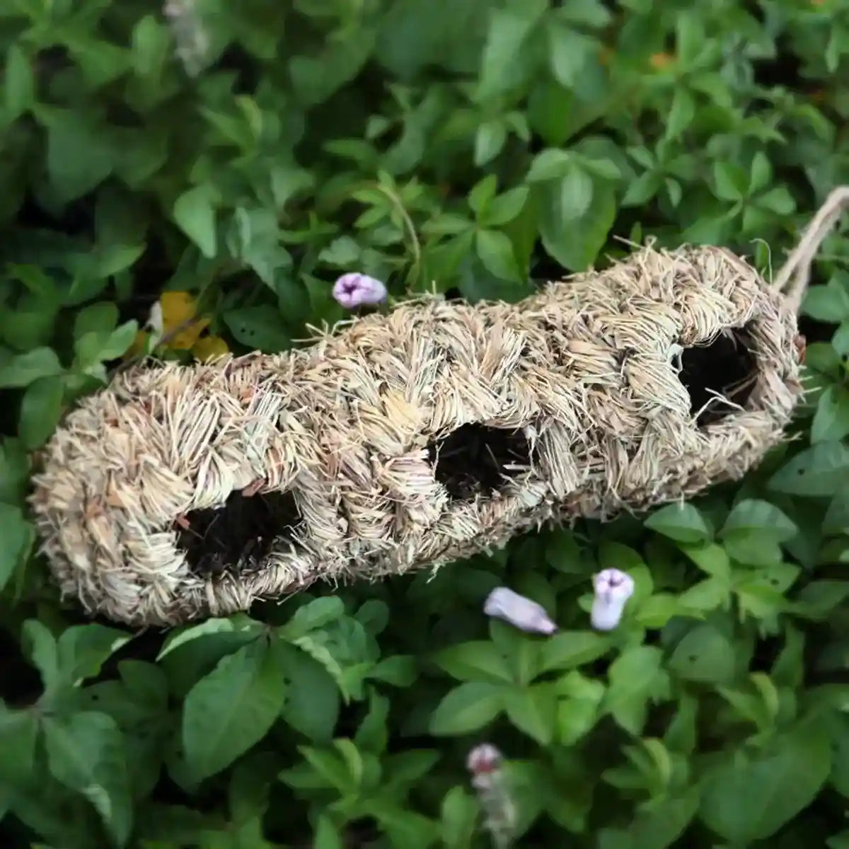 Natural Woven Hanging Bird Nest Peanut Style Bird House for Garden