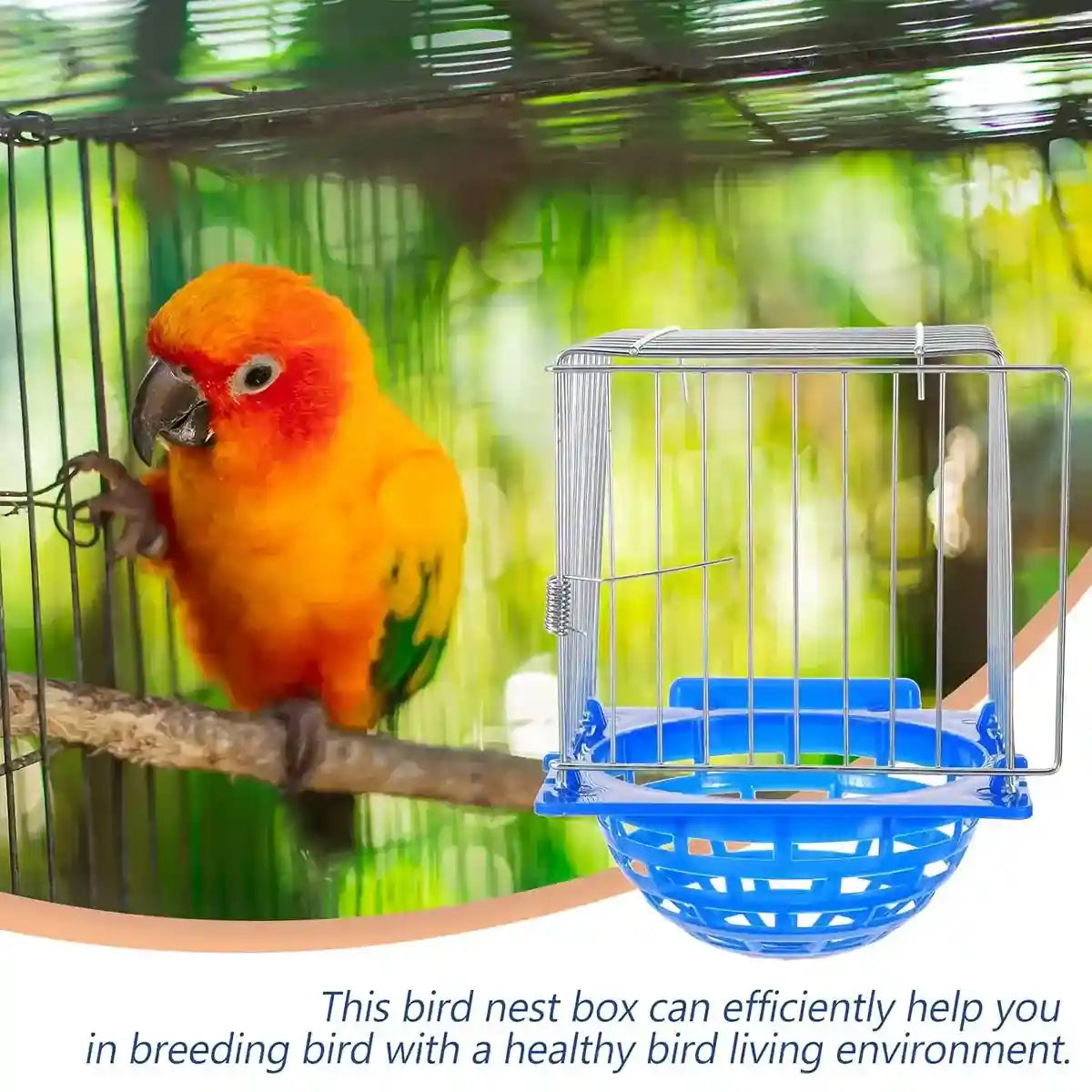 Bird Nest Breeding Box