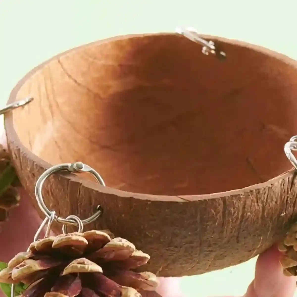 Coconut Bird's Nest for Parrots Natural Habitat with Swing & Hammock