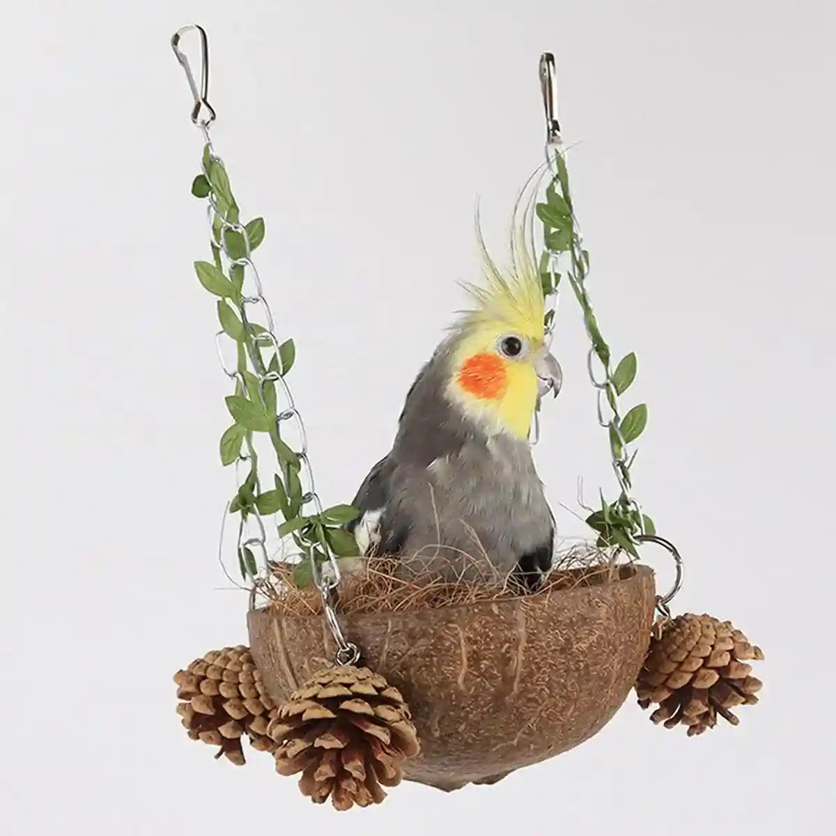 Coconut Bird's Nest for Parrots Natural Habitat with Swing & Hammock