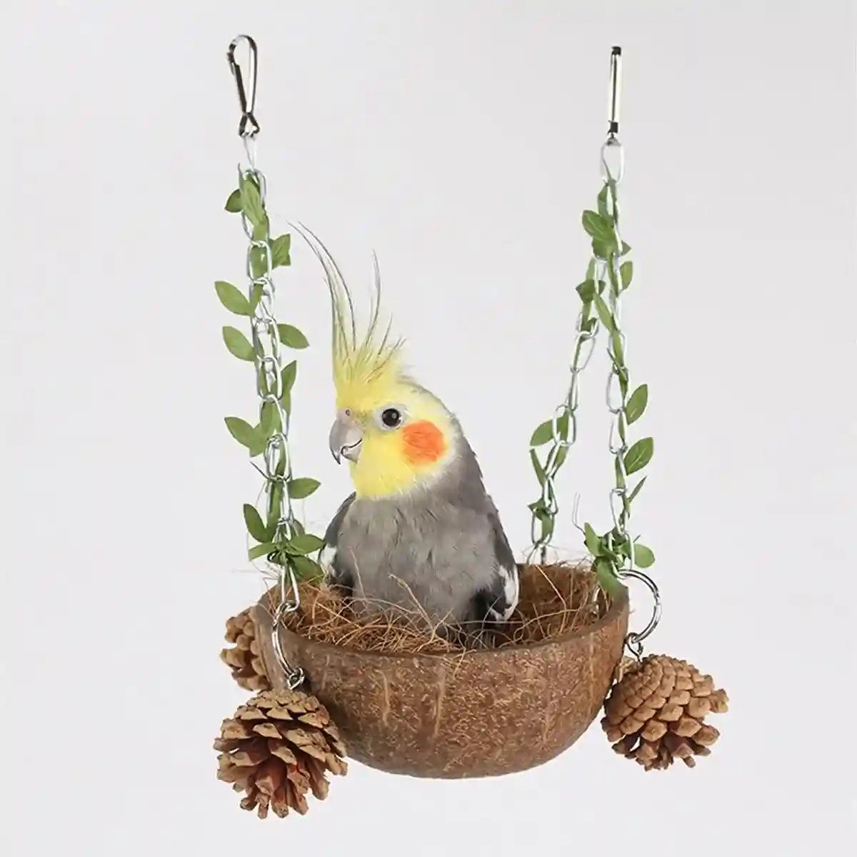 Coconut Bird's Nest for Parrots Natural Habitat with Swing & Hammock