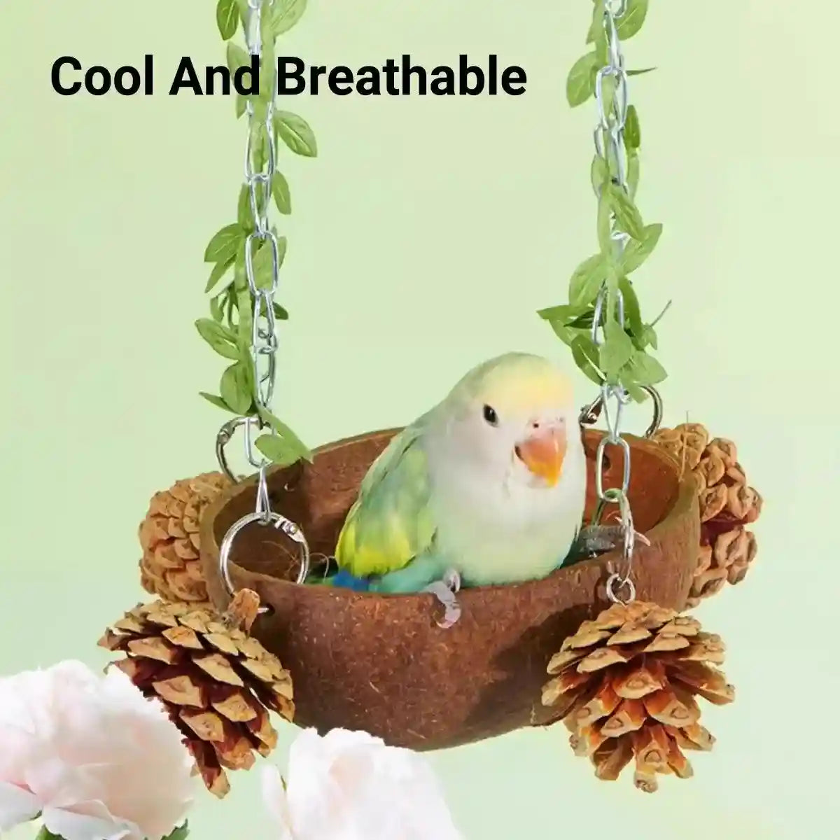 Coconut Bird's Nest for Parrots Natural Habitat with Swing & Hammock