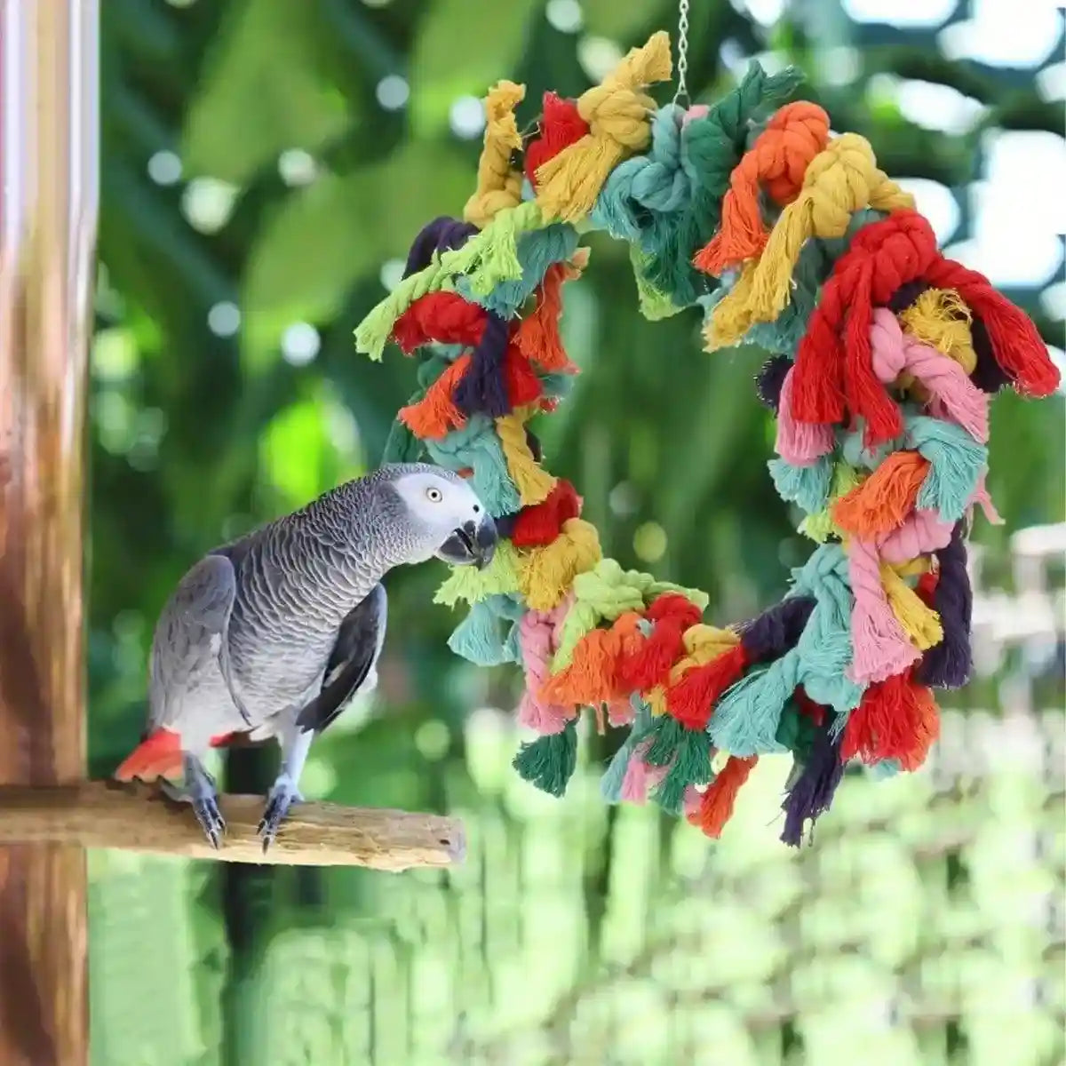 Colorful Cotton Ring Toy for Birds – Durable Rope Perches for Birds