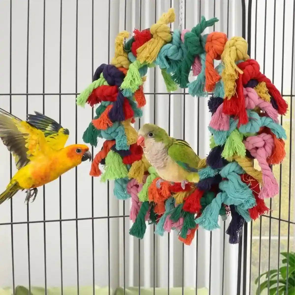 Colorful Cotton Ring Toy for Birds – Durable Rope Perches for Birds