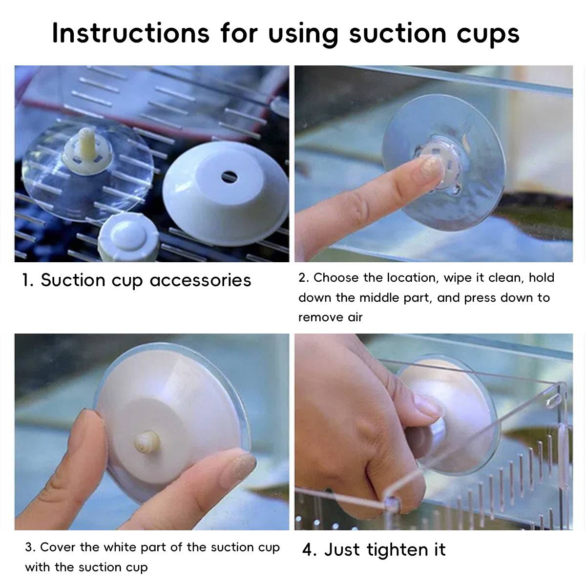 Bird Window Perch with Suction Cups | Sunny Seat Platform for Parrots