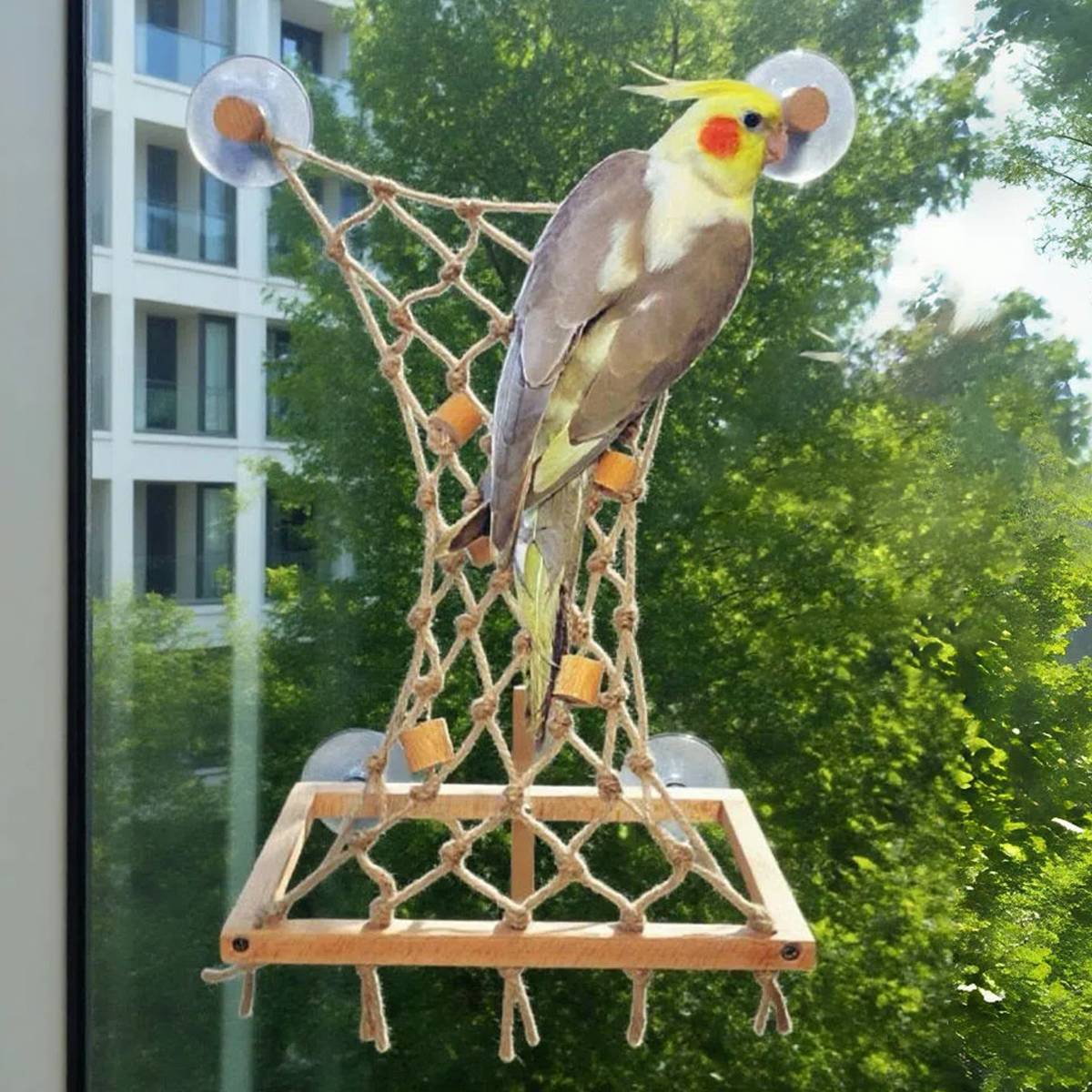 Bird Window Perch with Suction Cups | Sunny Seat Platform for Parrots