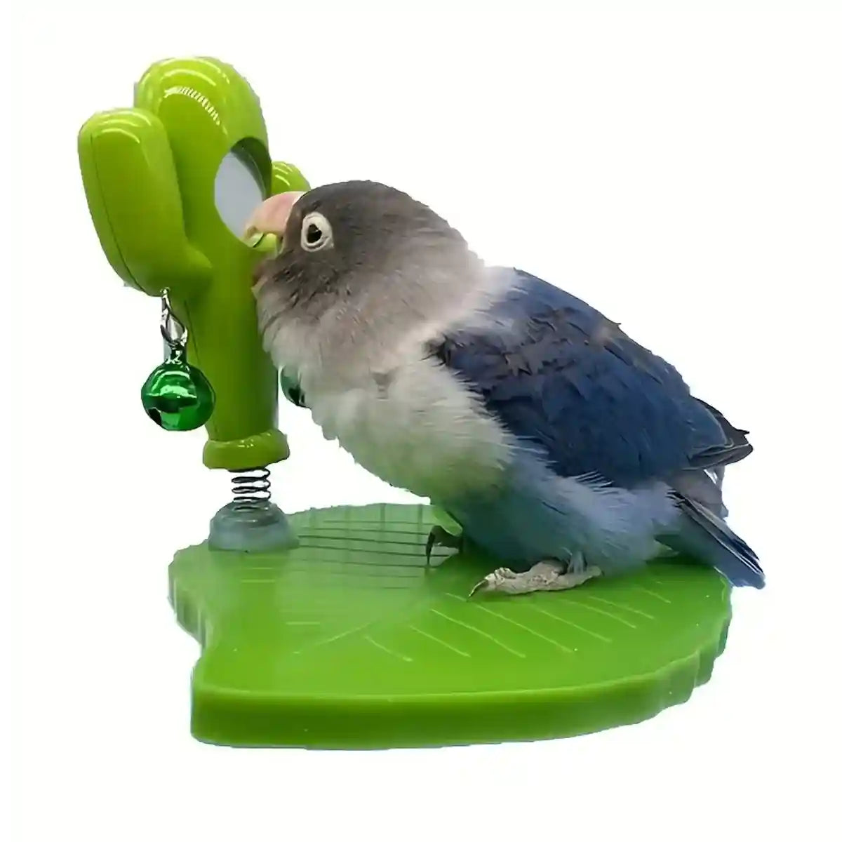 Rocking Cactus Parrot Toy with Mirror and Bells