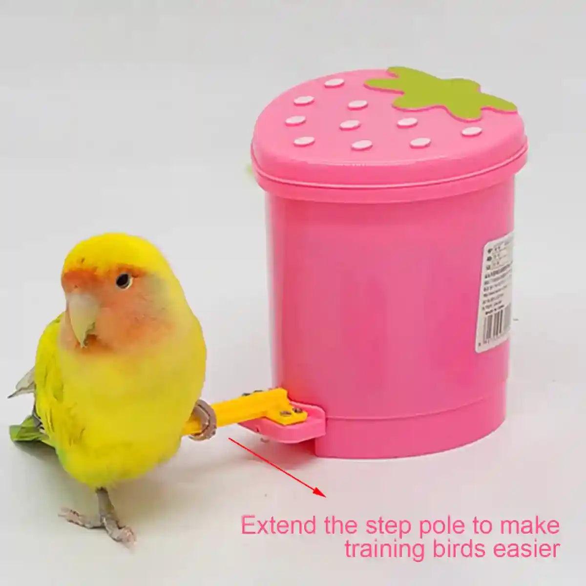 Interactive Bird Toy Set with Training Balls and Bucket for Parrots